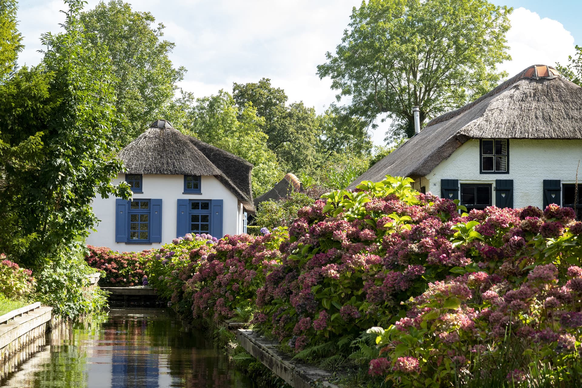 Giethoorn Full-Day Tour from Amsterdam with Canal Cruise and Self-Guided Walking Tour - image 11