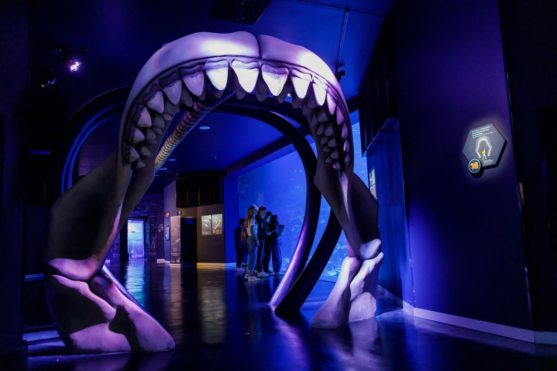 Atlantis Aquarium Madrid Ticket - image 5