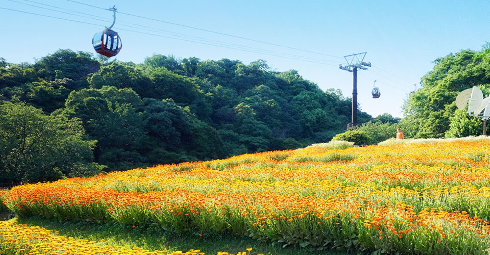 Kobe Nunobiki Herb Gardens and Ropeway Cable Car - main image