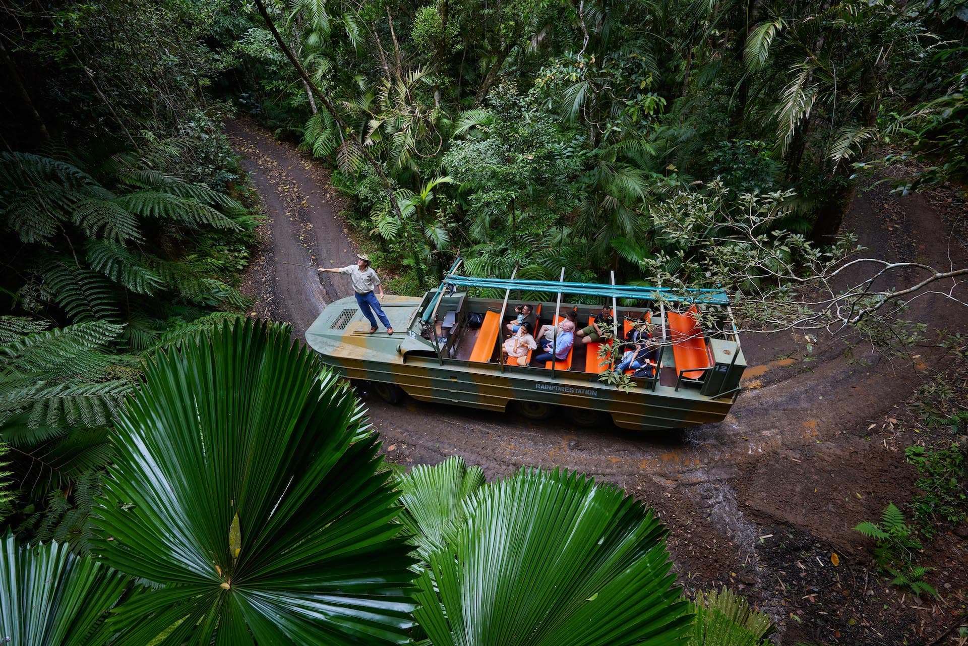 Full-Day Kuranda Tour with Skyrail Cableway, Scenic Railway, Rainforestation and Butterfly Sanctuary - image 4