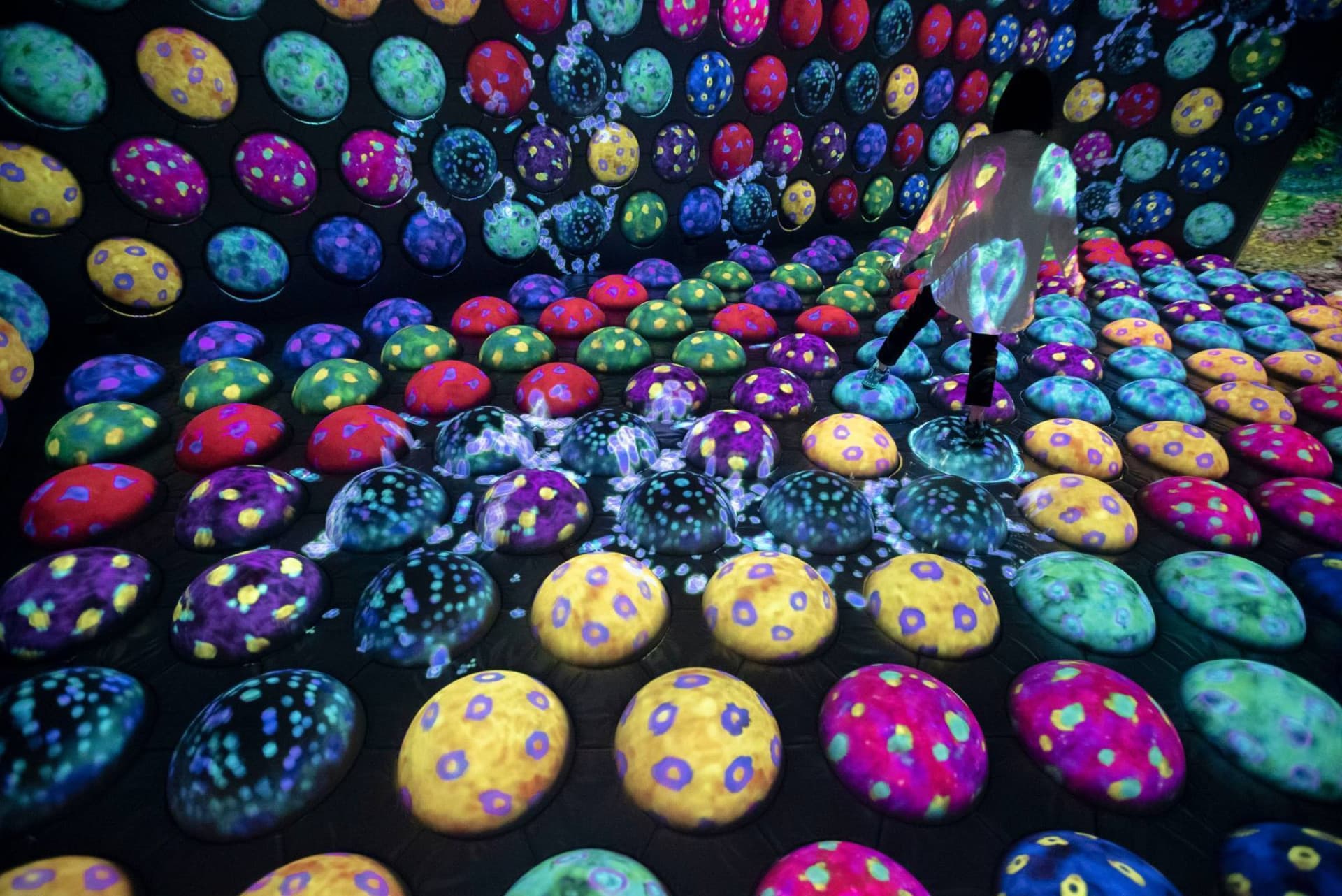 teamLab Forest Fukuoka - image 9