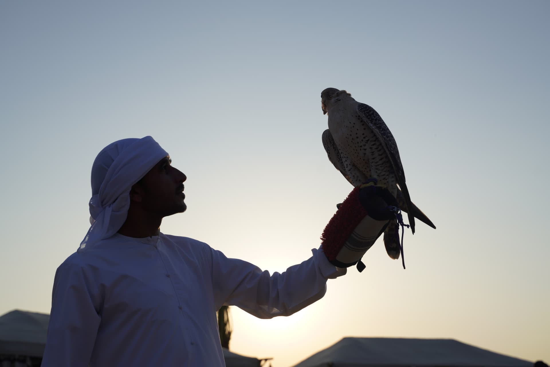 Dubai Red Dunes Desert Safari Tour with Camel Ride and Buffet Dinner at Al Khayma Camp - image 10
