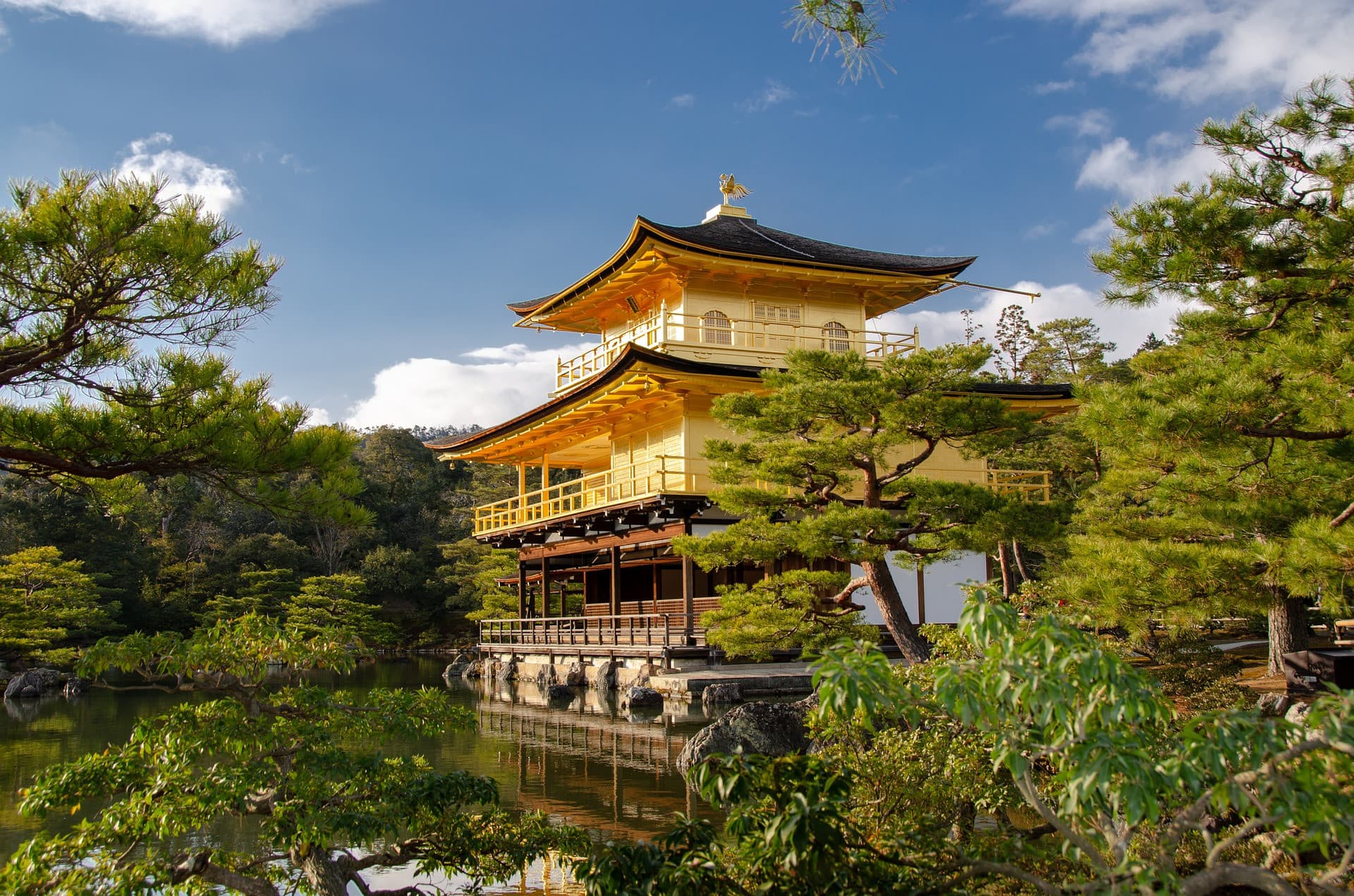 Kyoto Half-Day Temple Tour: Kinkaku-ji, Ginkaku-ji, Kiyomizu-dera - main image