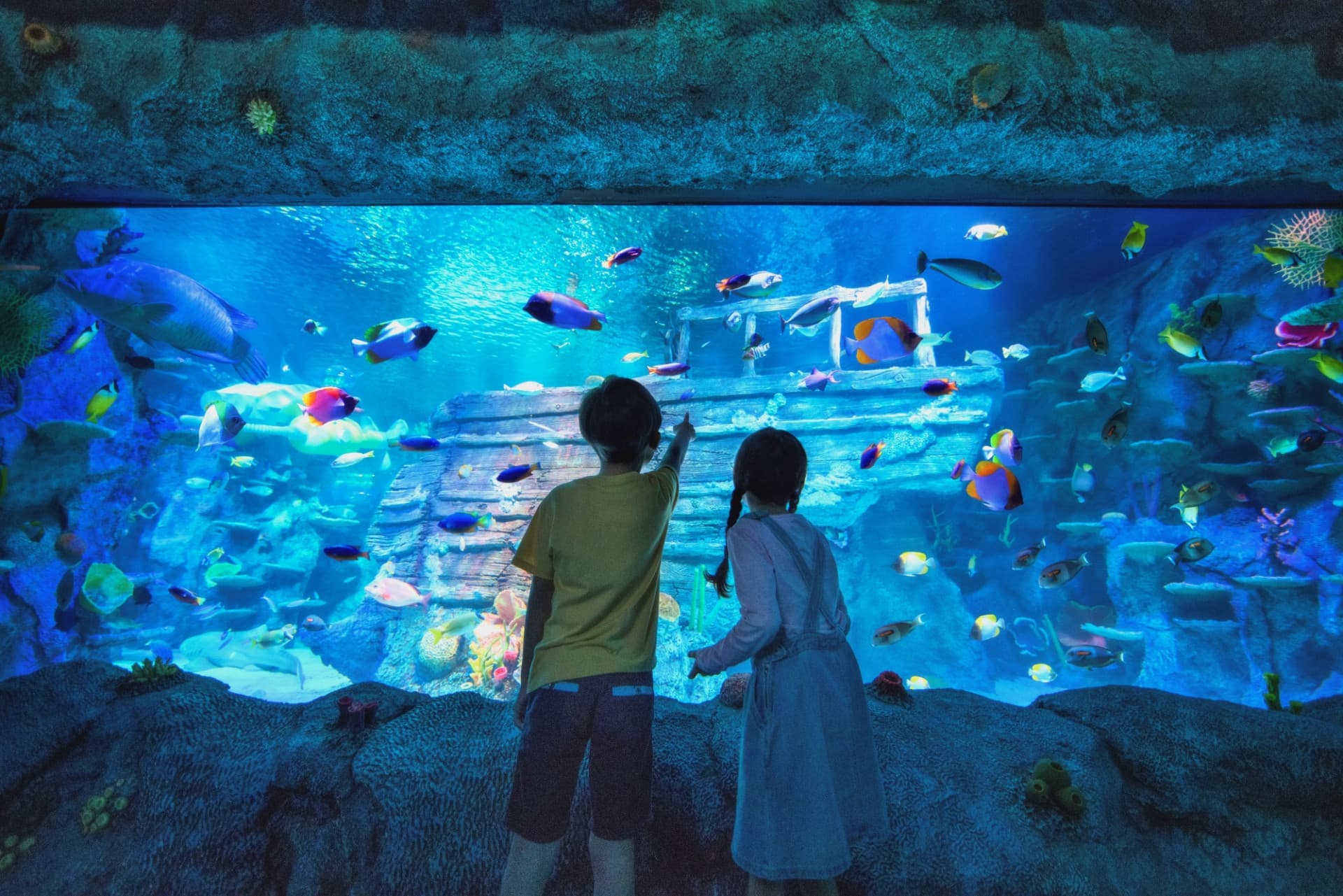 Go City Singapore Explorer Pass: Save up to 50% on Attractions - image 2
