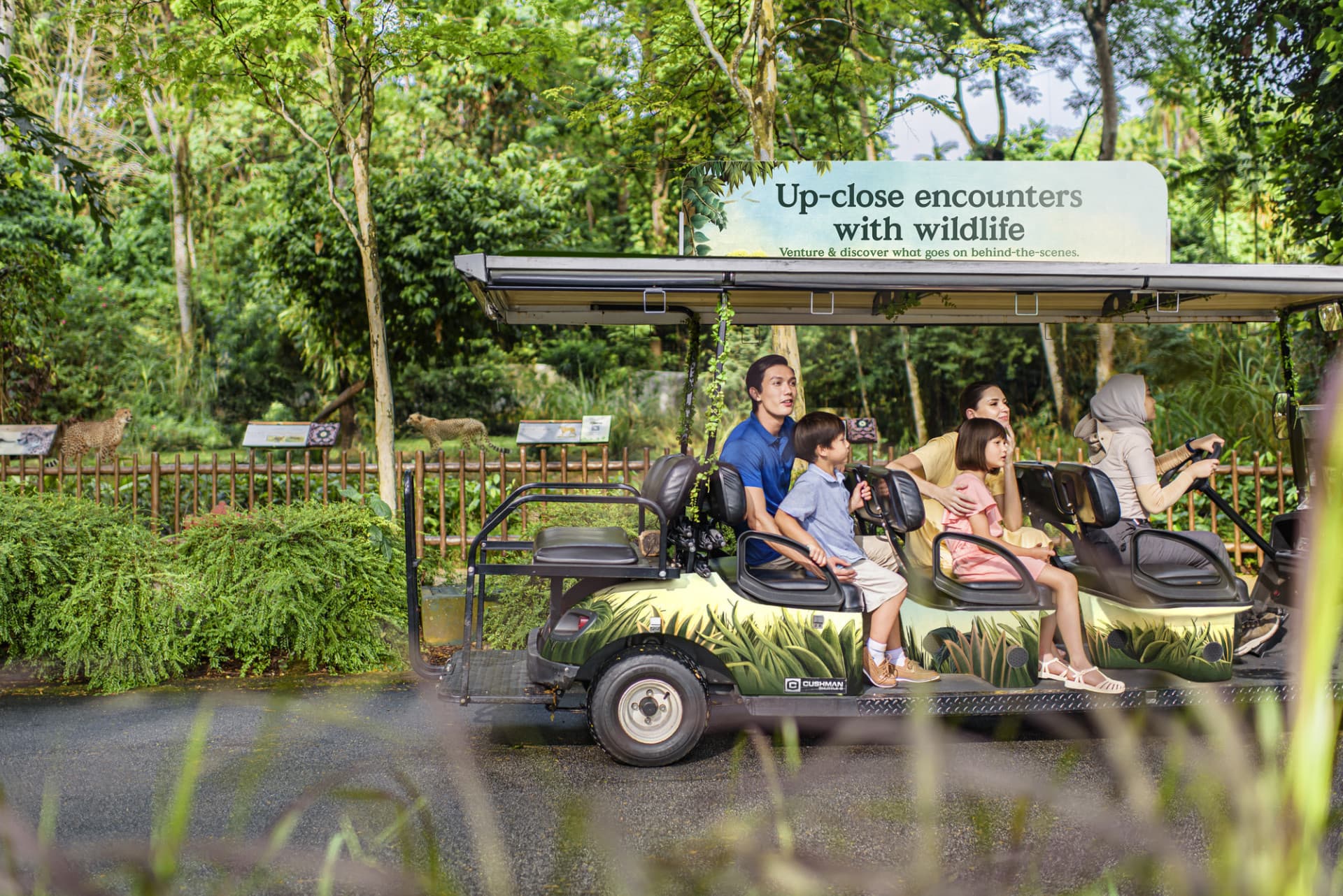 Singapore Zoo Ticket - image 6