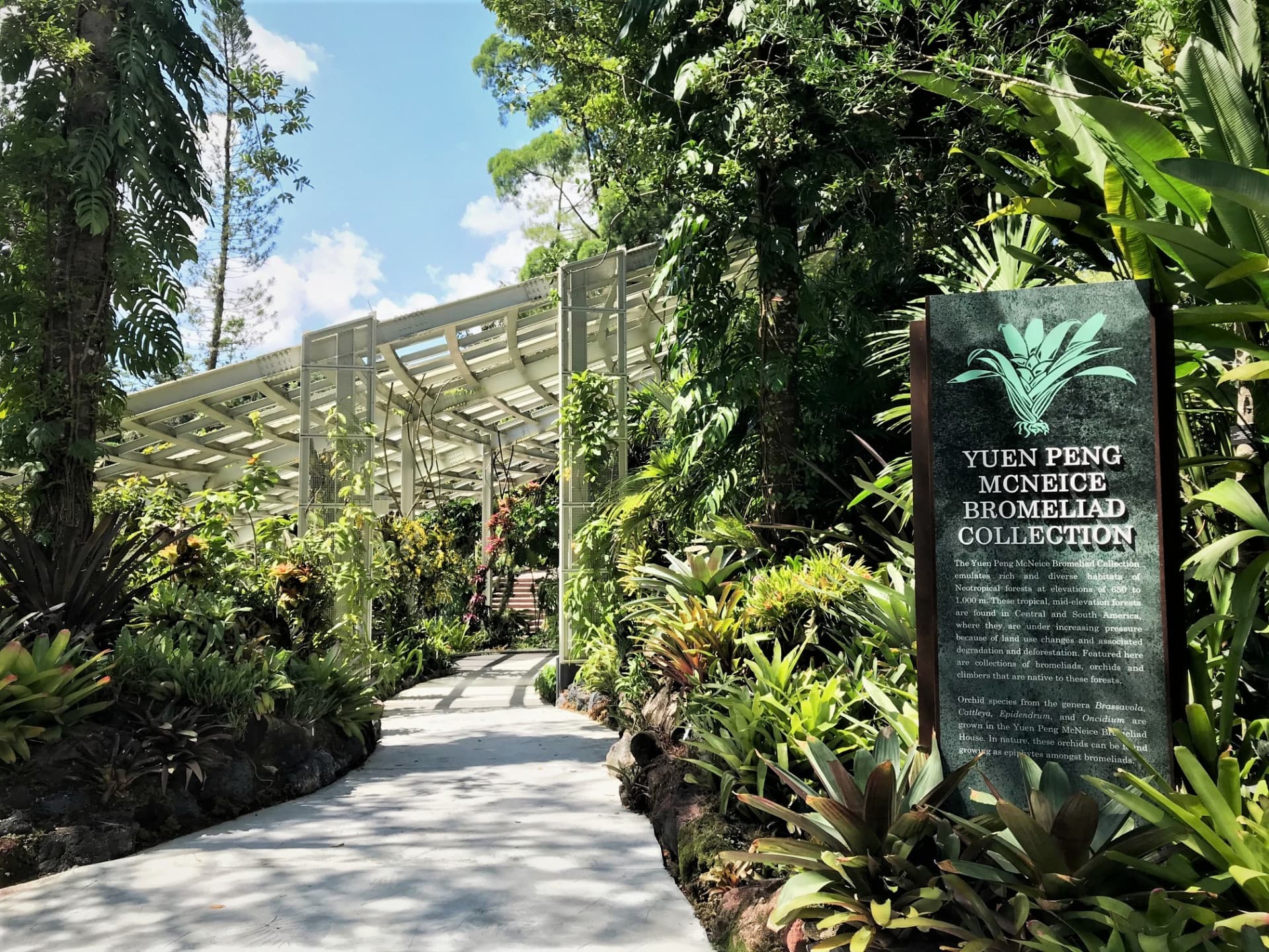 COMBO: Gardens by the Bay + National Orchid Garden Ticket - image 8