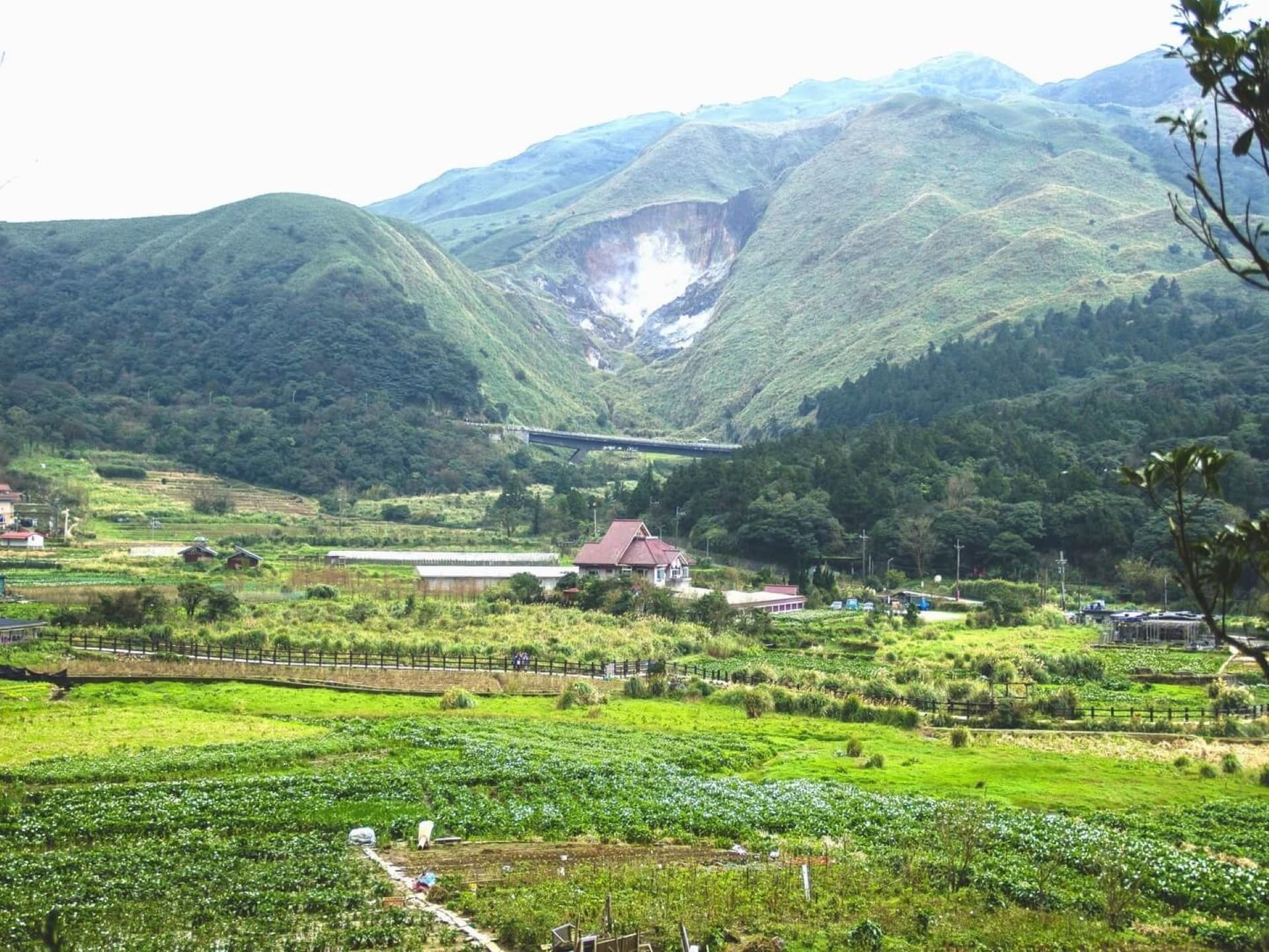 Yangmingshan National Park and Beitou Hot Spring Full-Day Tour from Taipei - image 12