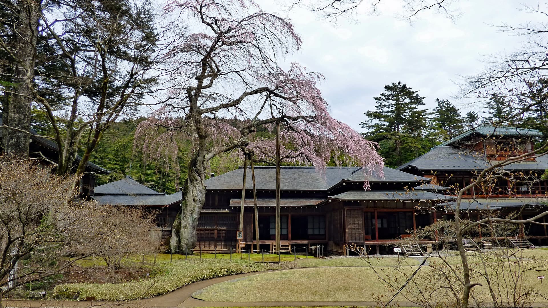 Pase Nikko - Área de Patrimonio Mundial - imagen 7
