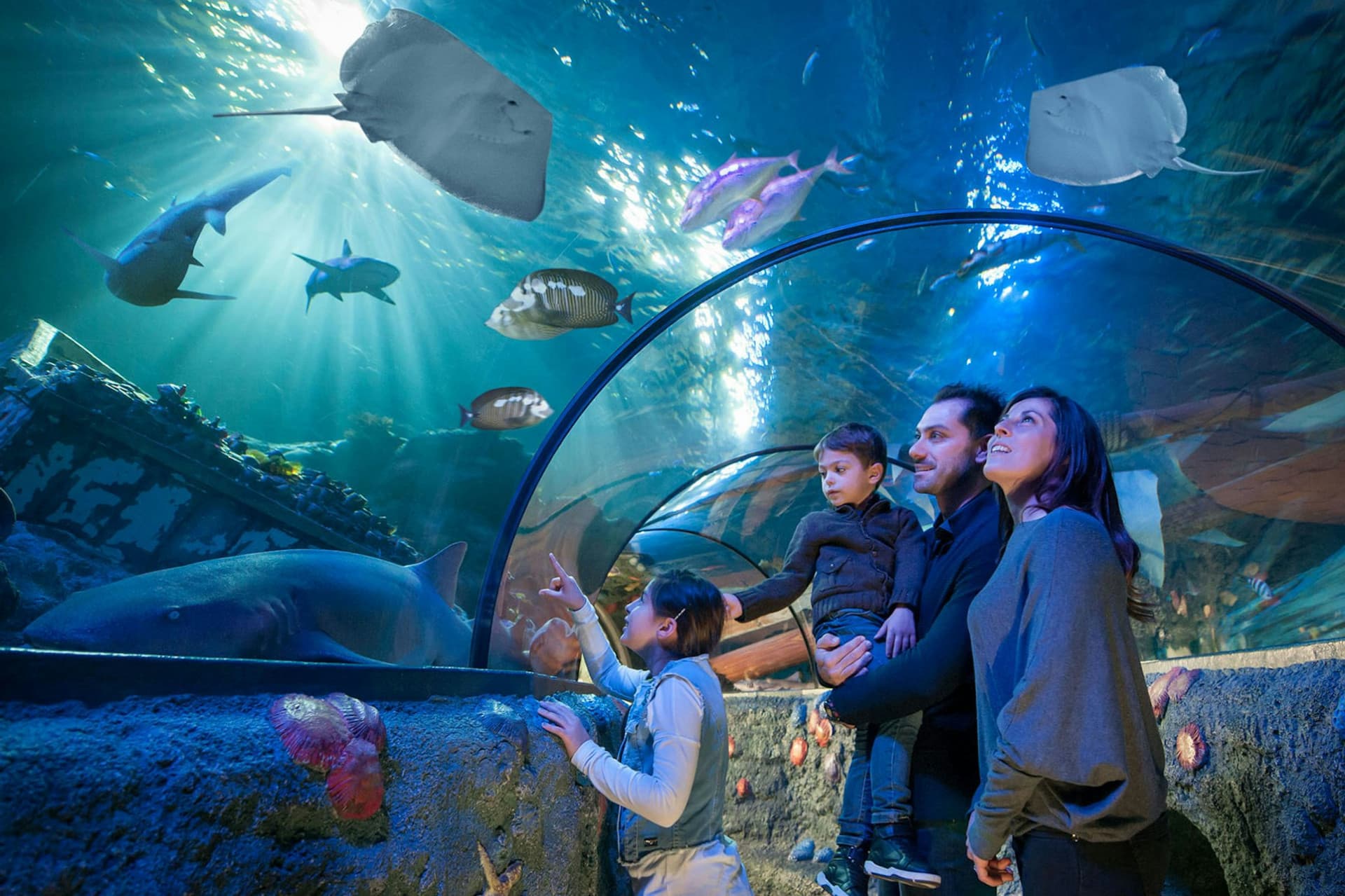 Gardaland SEA LIFE Aquarium Ticket - main image