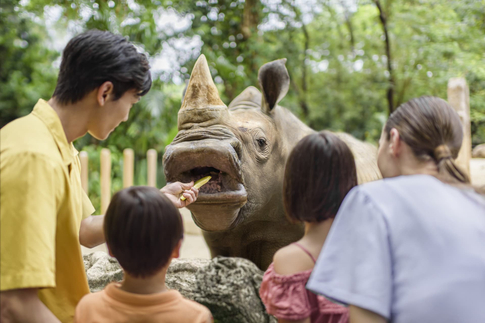 Singapore Zoo Ticket - image 11