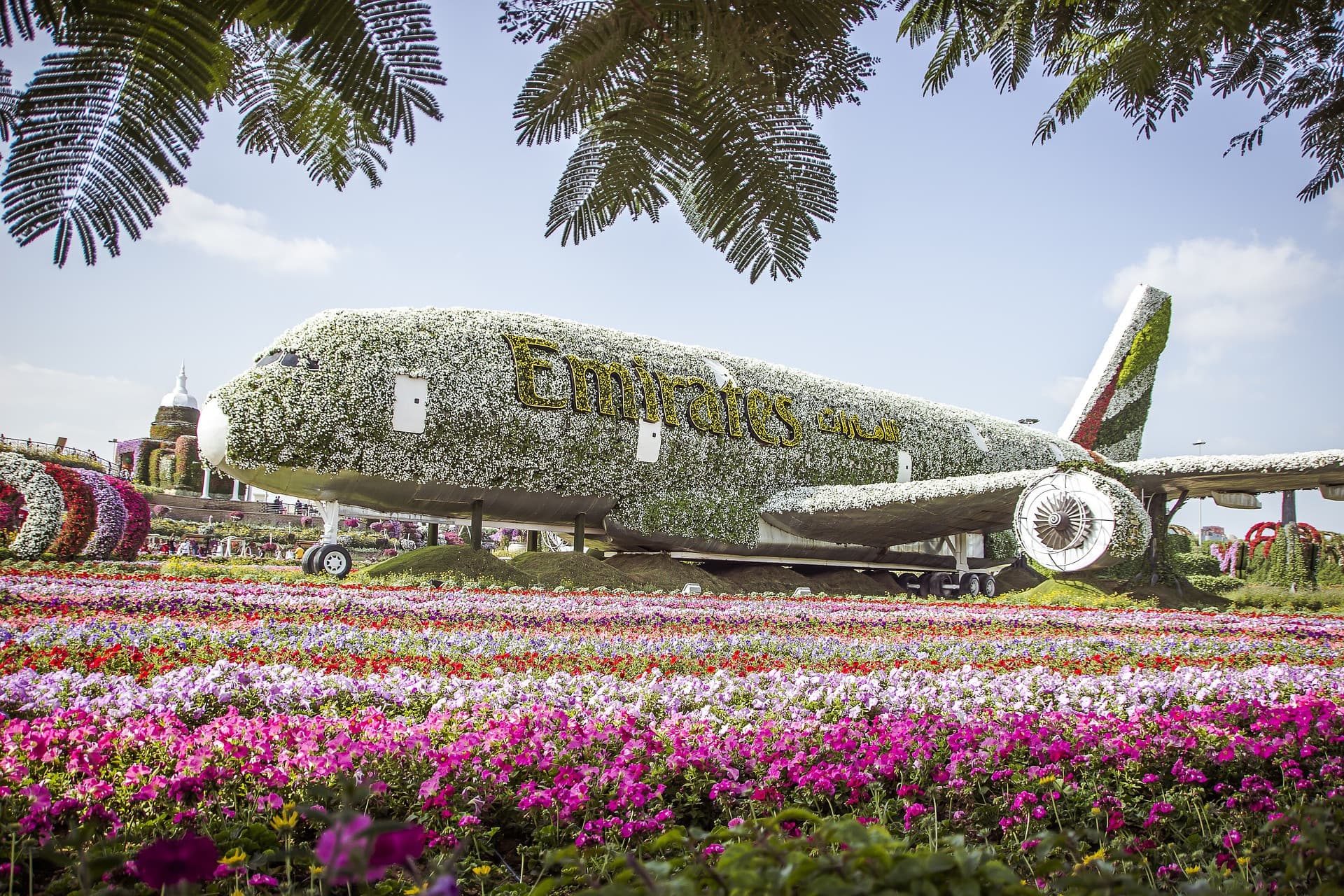 Entrada para Dubai Miracle Garden - imagen 3
