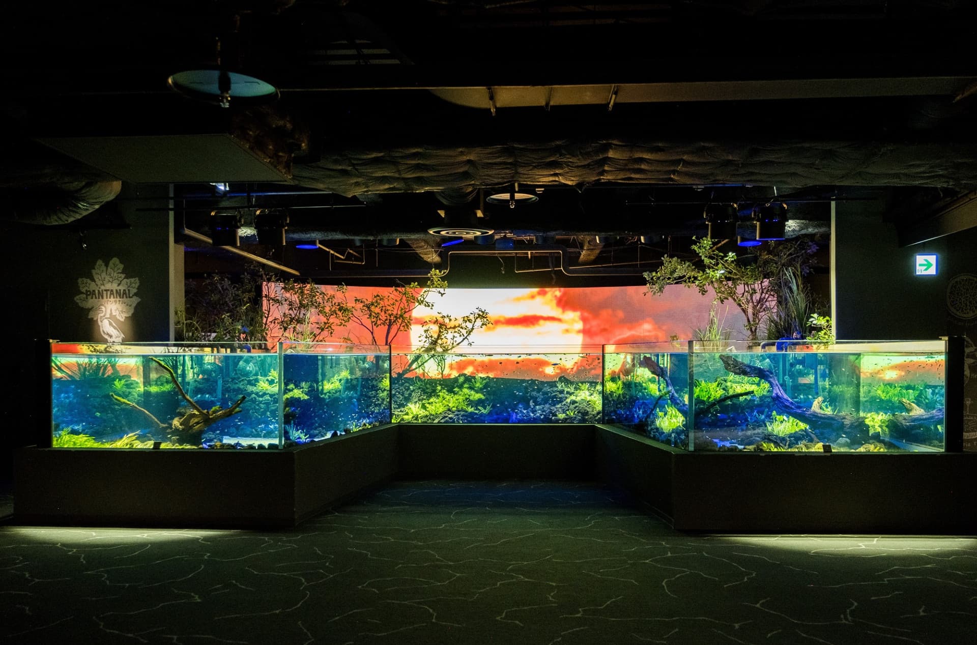 Entrada para el Acuario Kawasaki - imagen 2