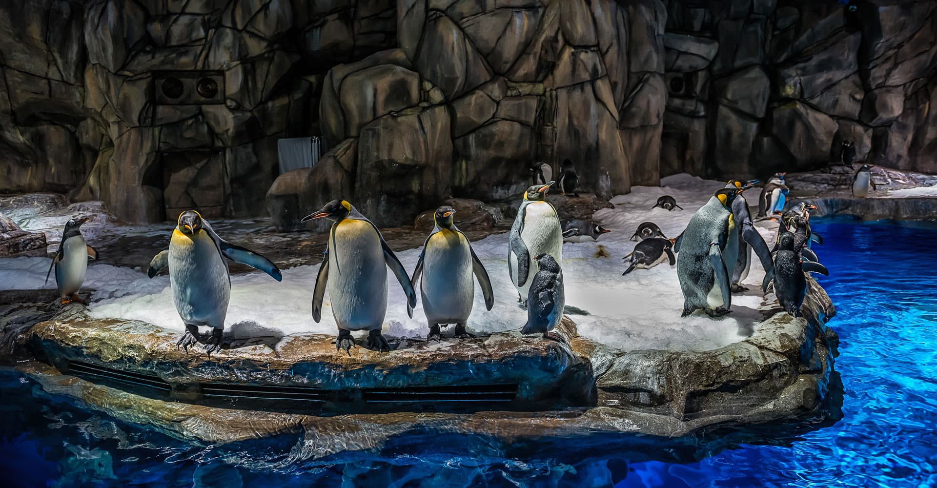 Entrada a Ocean Park Hong Kong - imagen 12