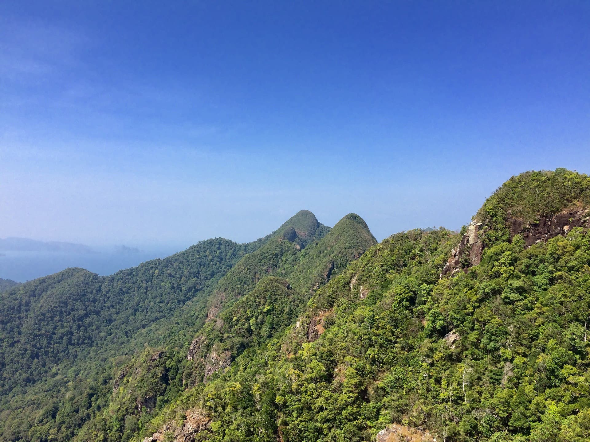 Langkawi Birdwatching Experience Tour - Half Day - image 11