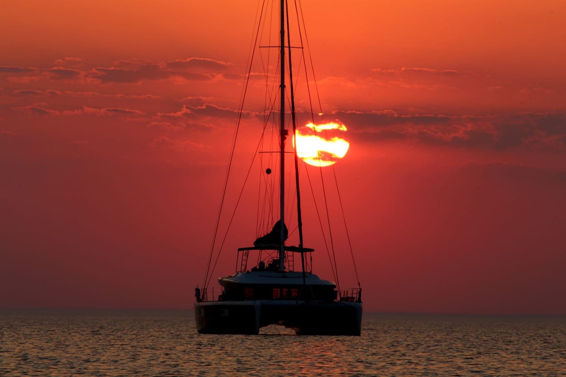 Key West: Dolphin Watching Cruise + Snorkeling + Drinks - image 4