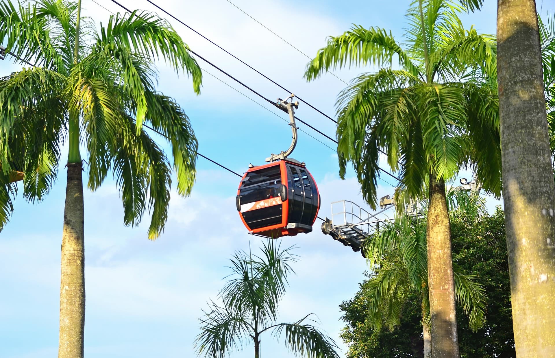 COMBO: Singapore Cable Car + MegaZip at Mega Adventure Park - main image
