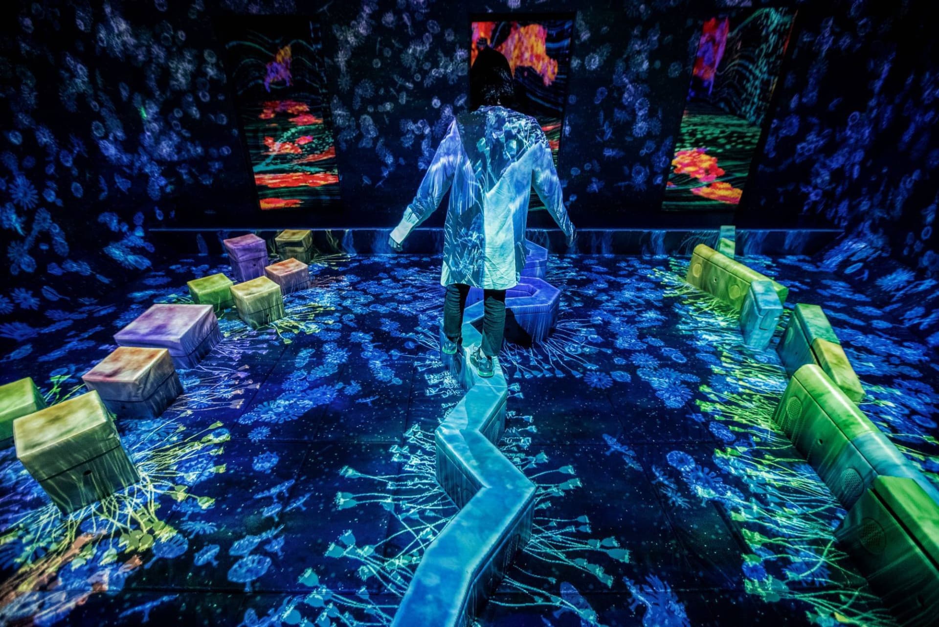 teamLab Forest Fukuoka - image 2