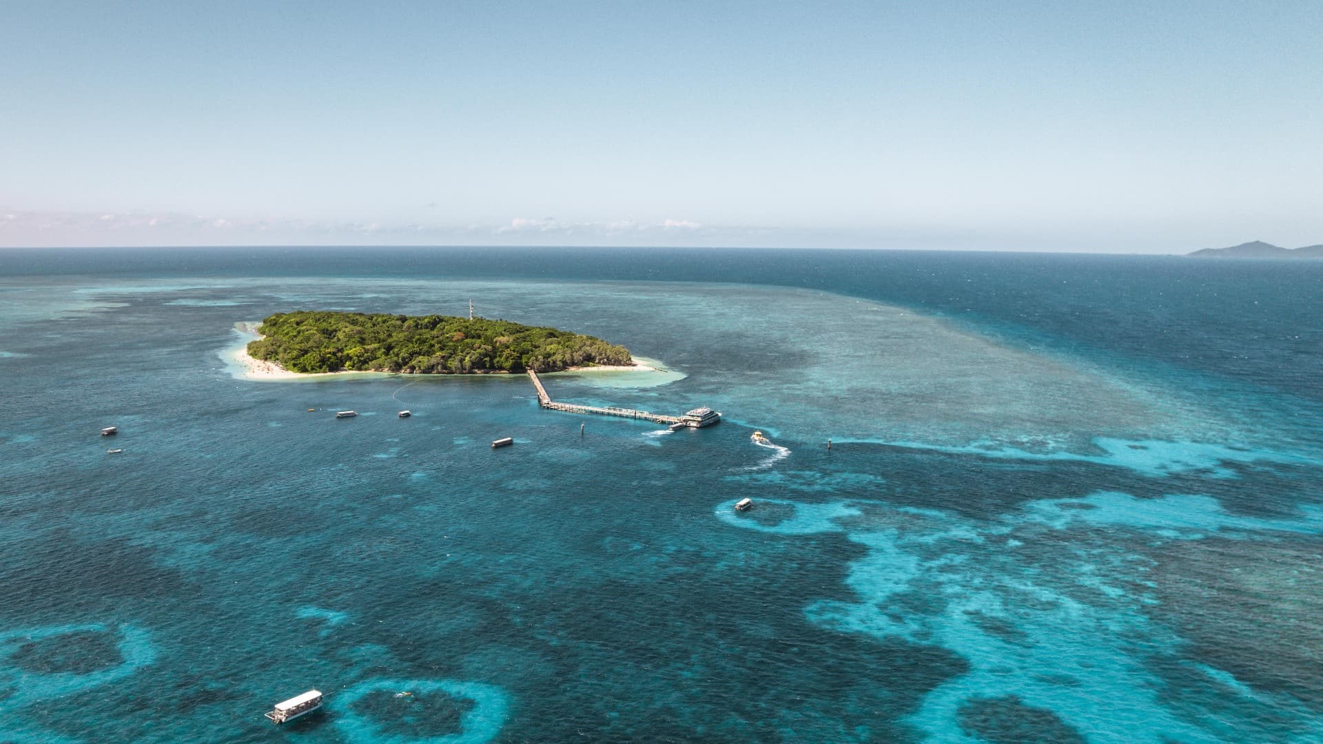 Green Island Great Barrier Reef Half Day Tour from Cairns - image 2