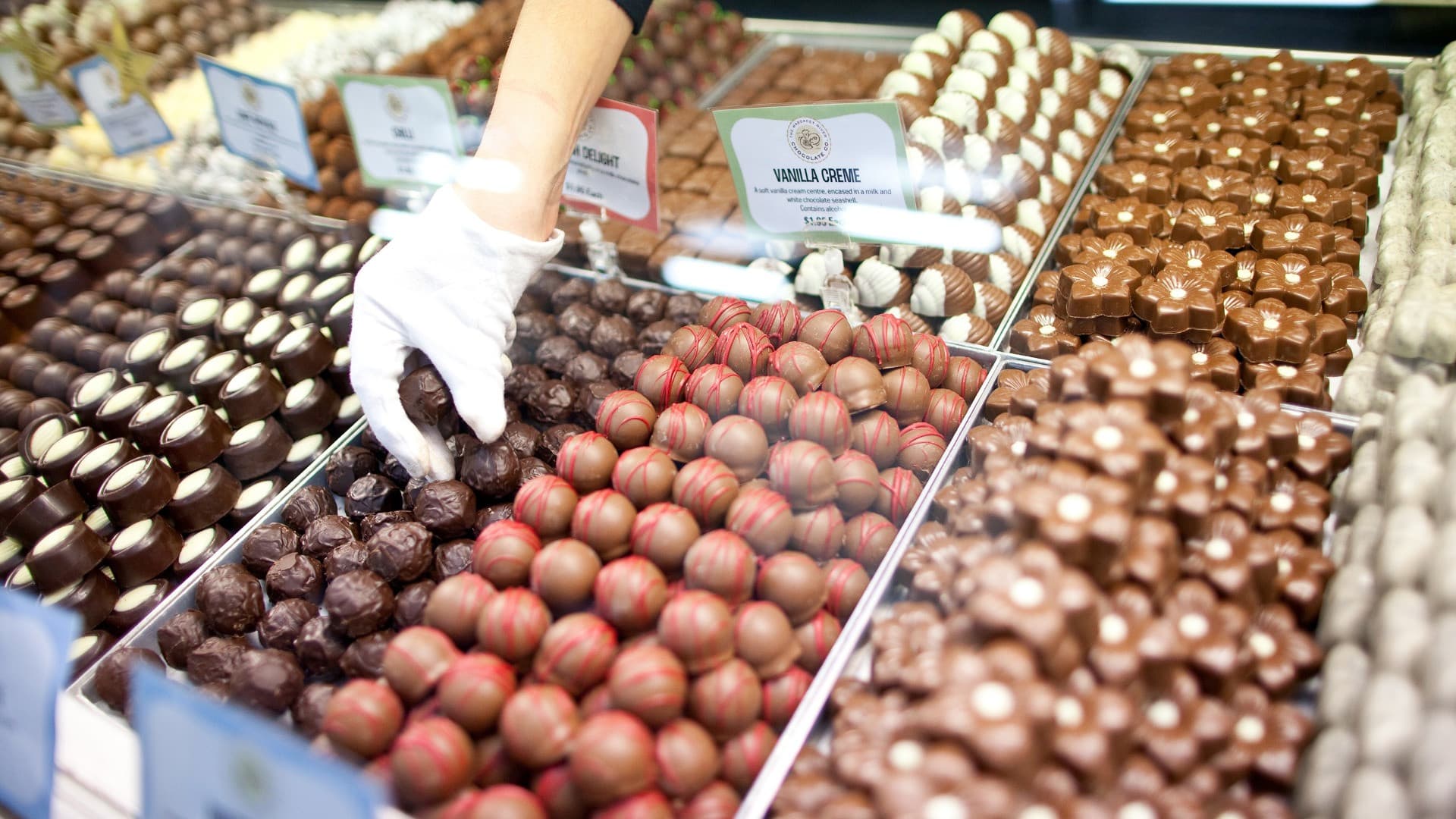 Swan Valley Full-Day Tour with Indulgence Cruise and Wine and Chocolate Tasting - image 3