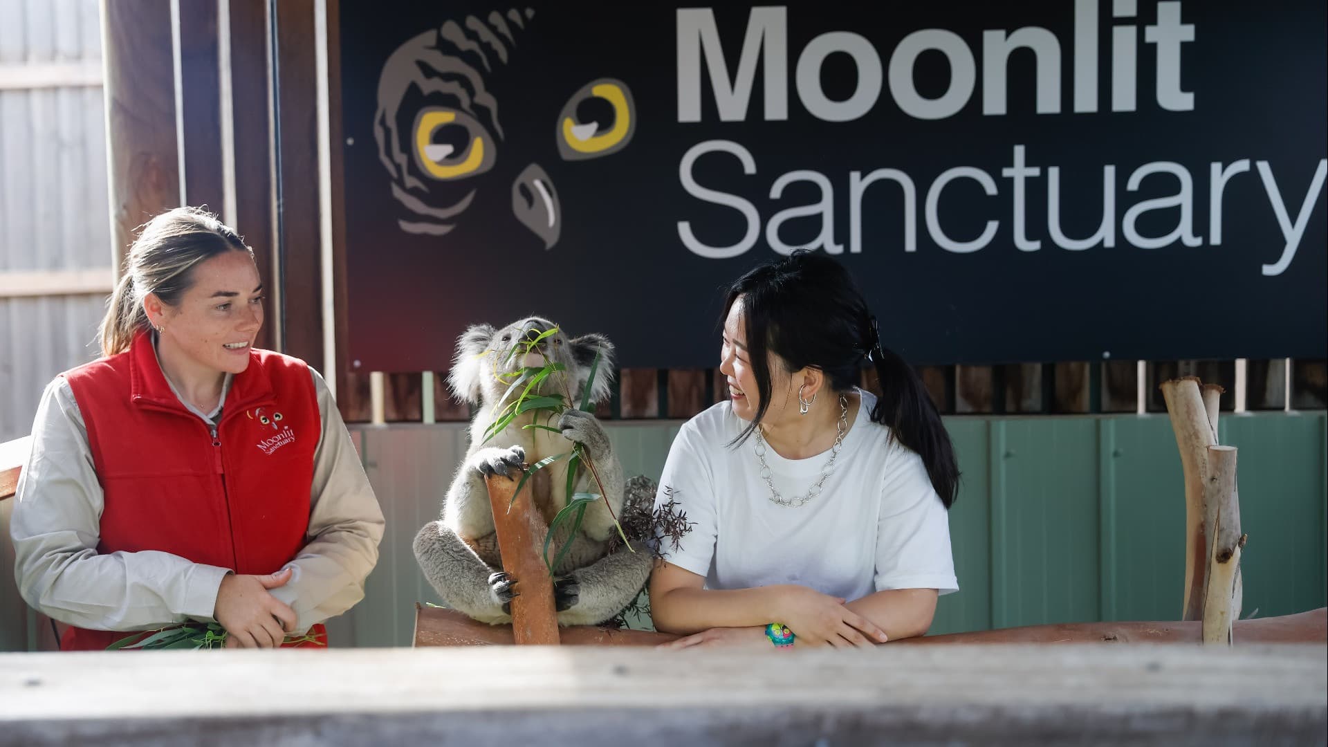 Moonlit Sanctuary Wildlife Conservation Park Ticket - image 6