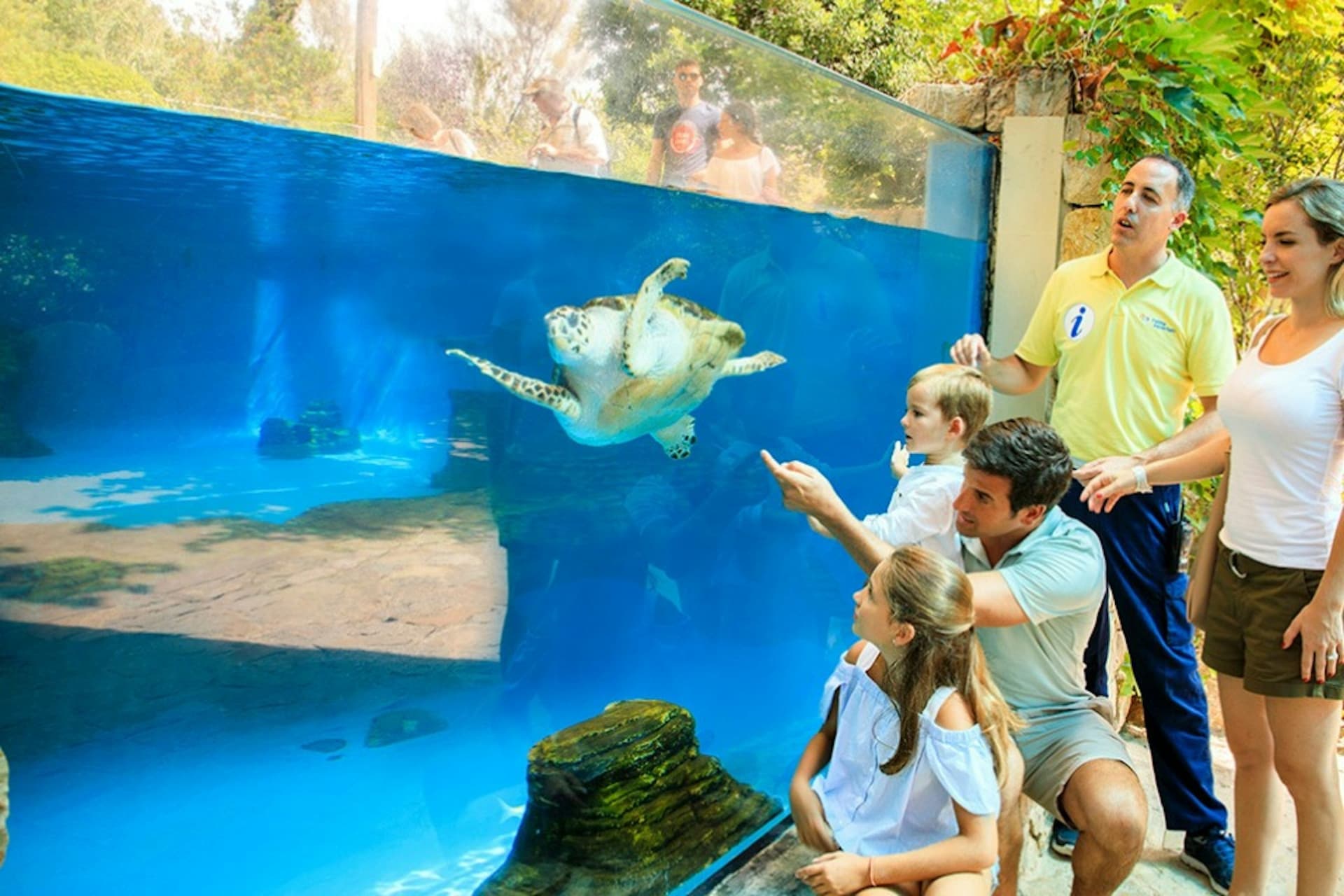Palma Aquarium: Skip The Line Ticket + Optional 3D Cinema Aquadome - image 9
