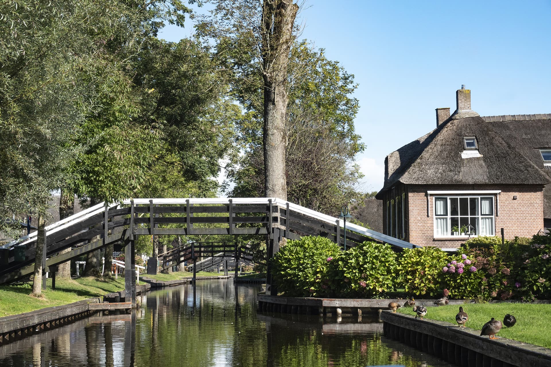 Giethoorn Full-Day Tour from Amsterdam with Canal Cruise and Self-Guided Walking Tour - image 2