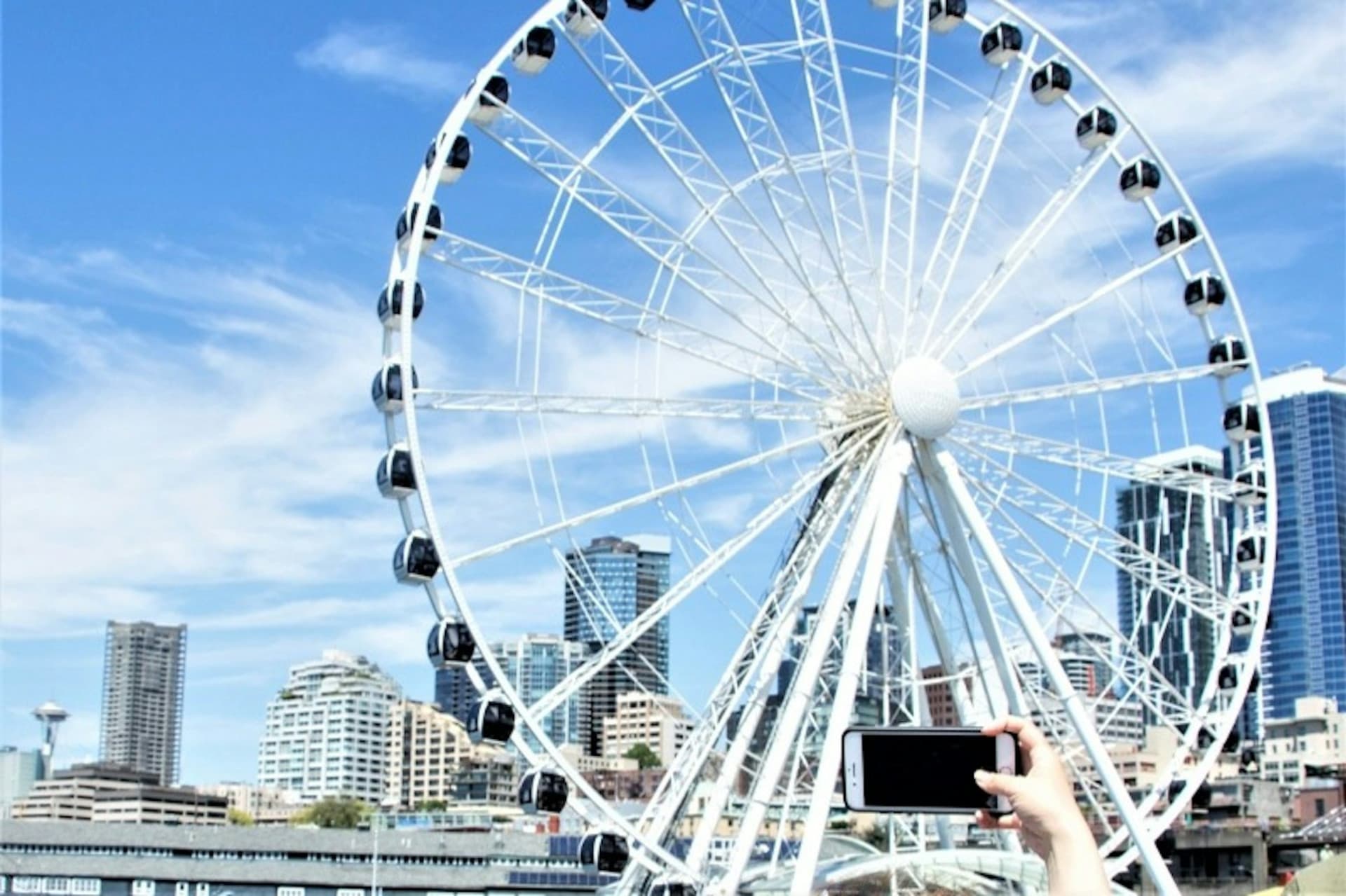 Seattle Harbor Cruise - image 7