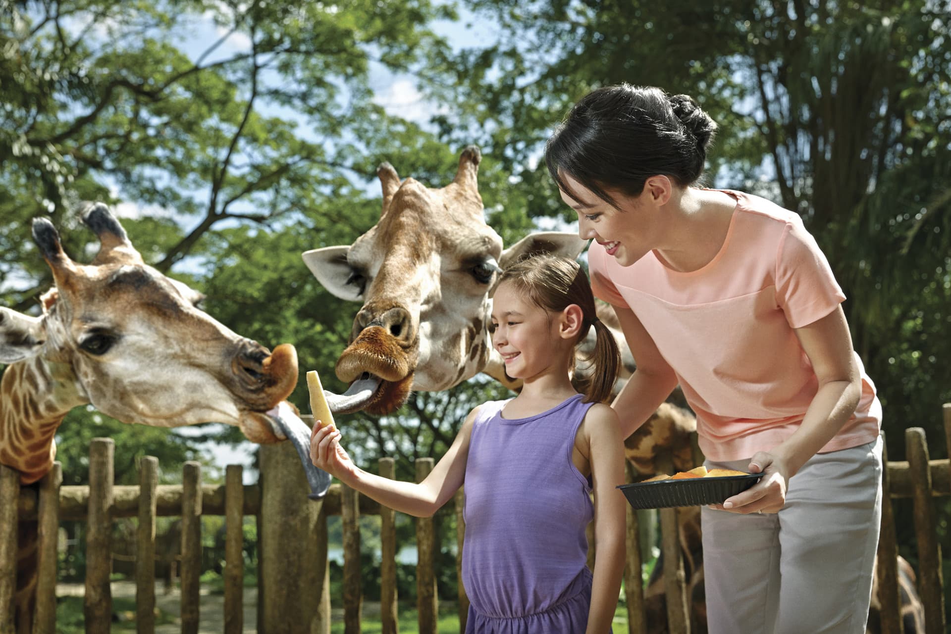 Go City Singapore Explorer Pass: Save up to 50% on Attractions - image 3