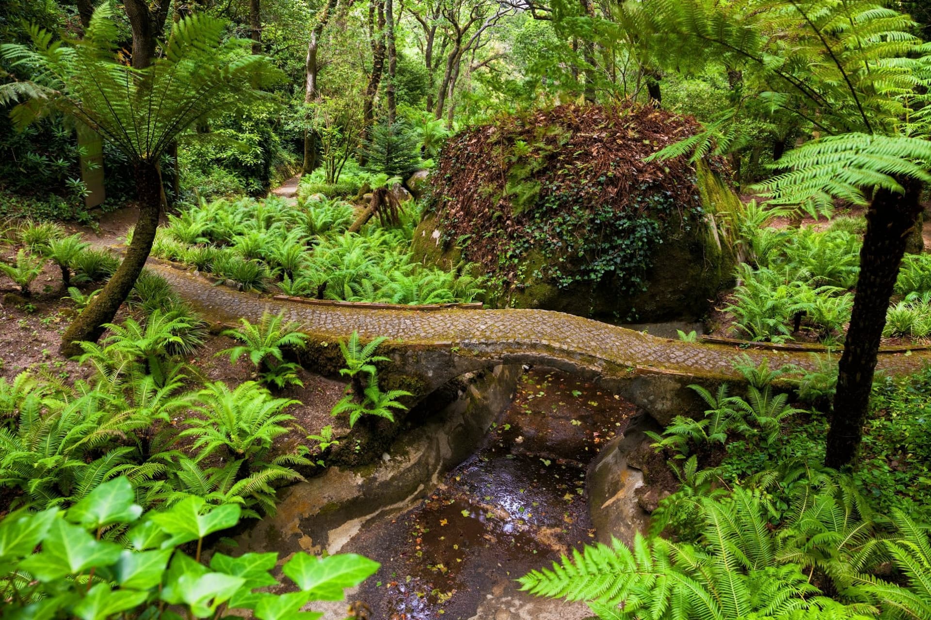 Pena Park in Sintra Ticket - image 3