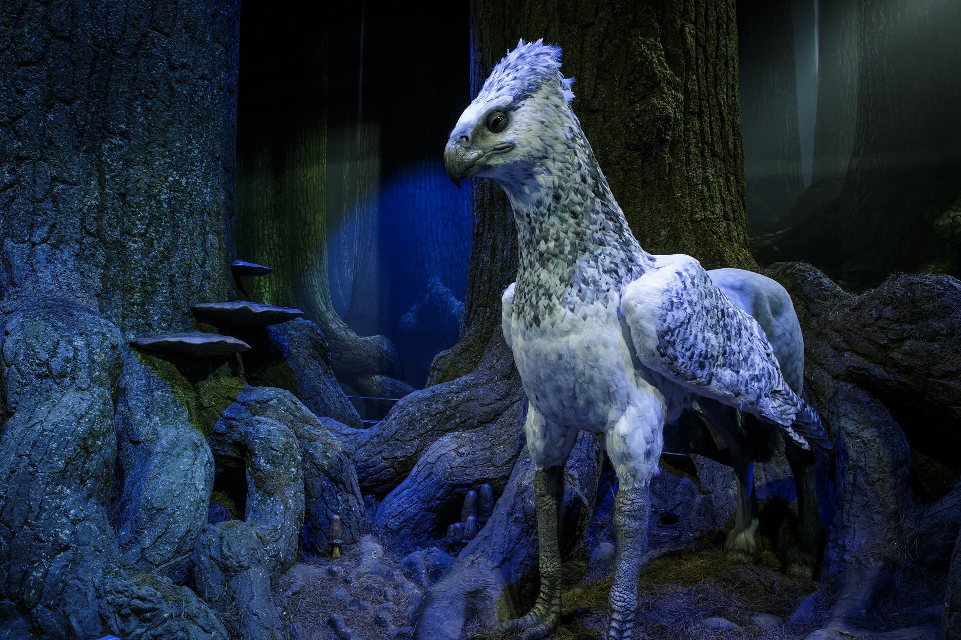 Warner Bros. Studio Tour London - The Making of Harry Potter Ticket with Round Trip Transfer - image 7
