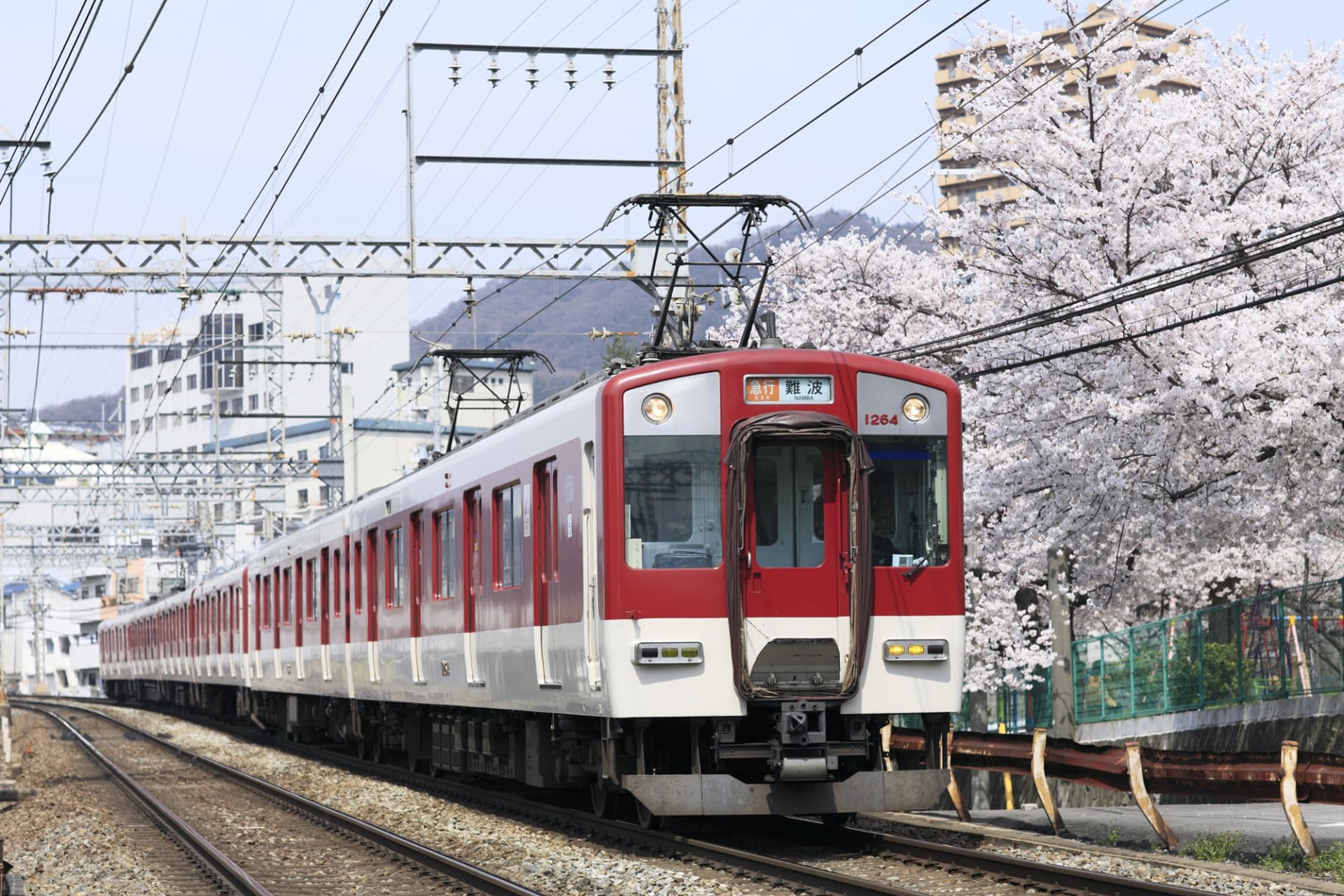 Kansai Railway Pass - image 5