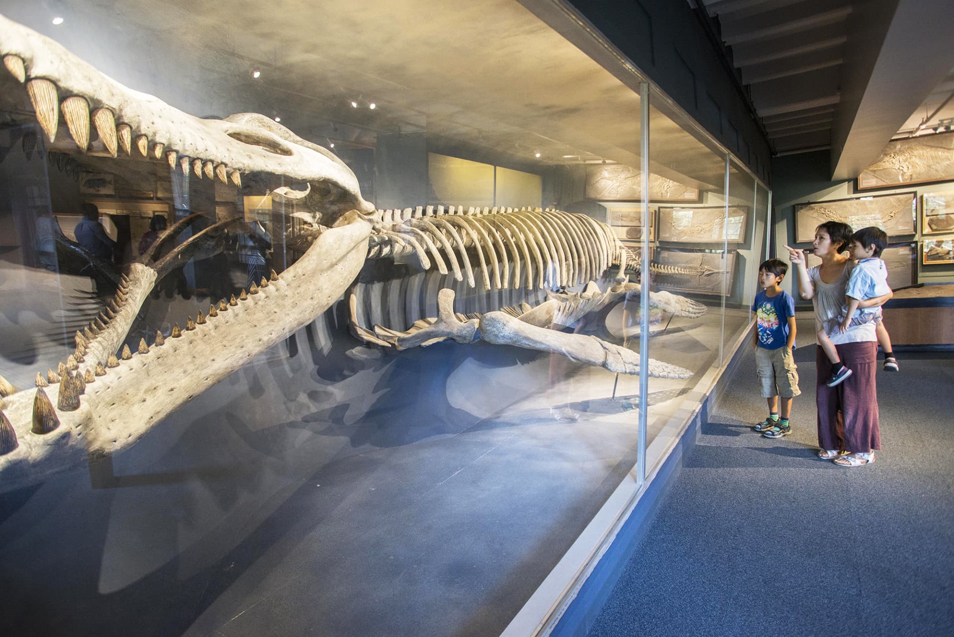 Go City Boston Explorer Pass: Save up to 50% on Attractions - image 26