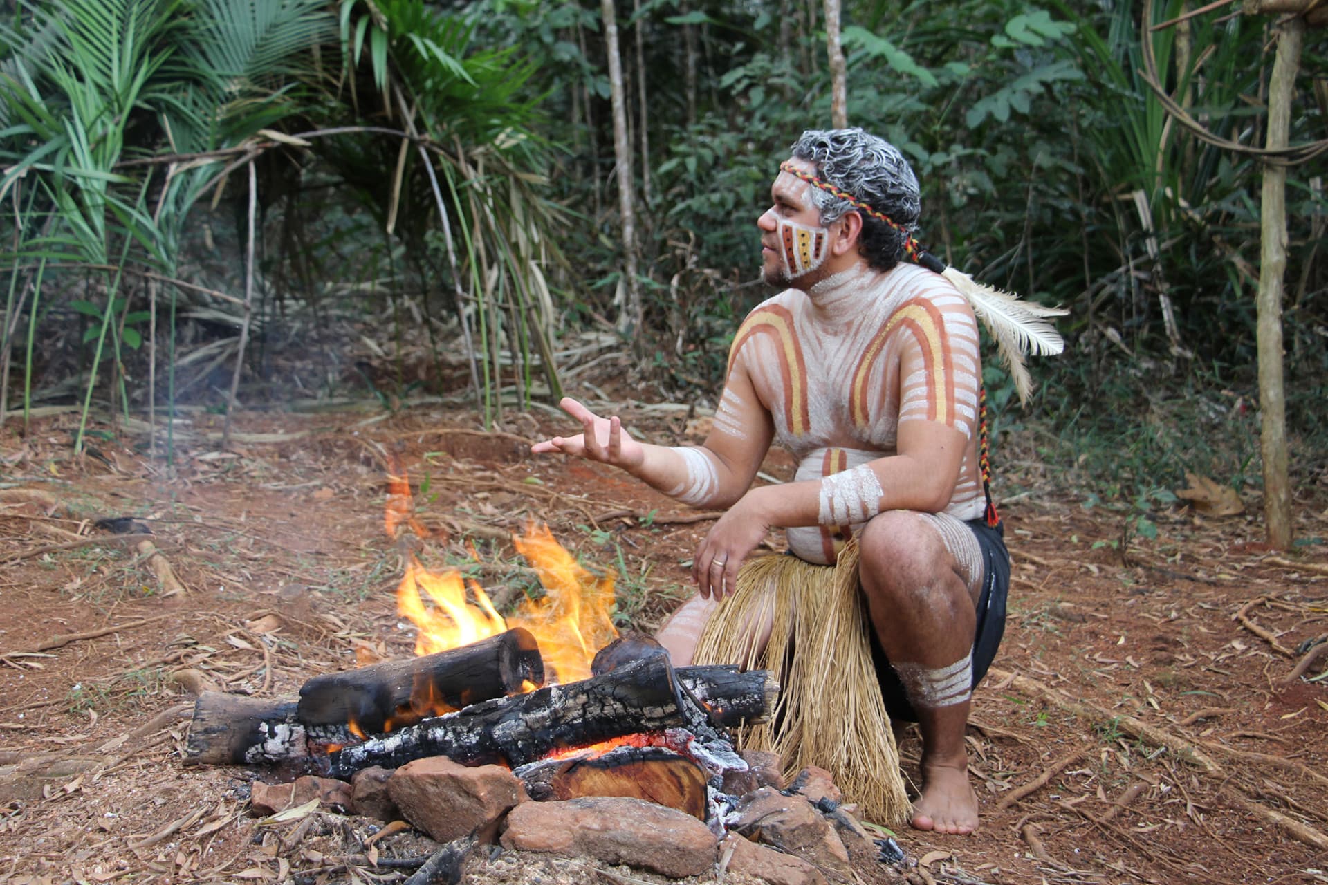 Full-Day Kuranda Tour with Skyrail Cableway, Scenic Railway, Rainforestation and Butterfly Sanctuary - image 10