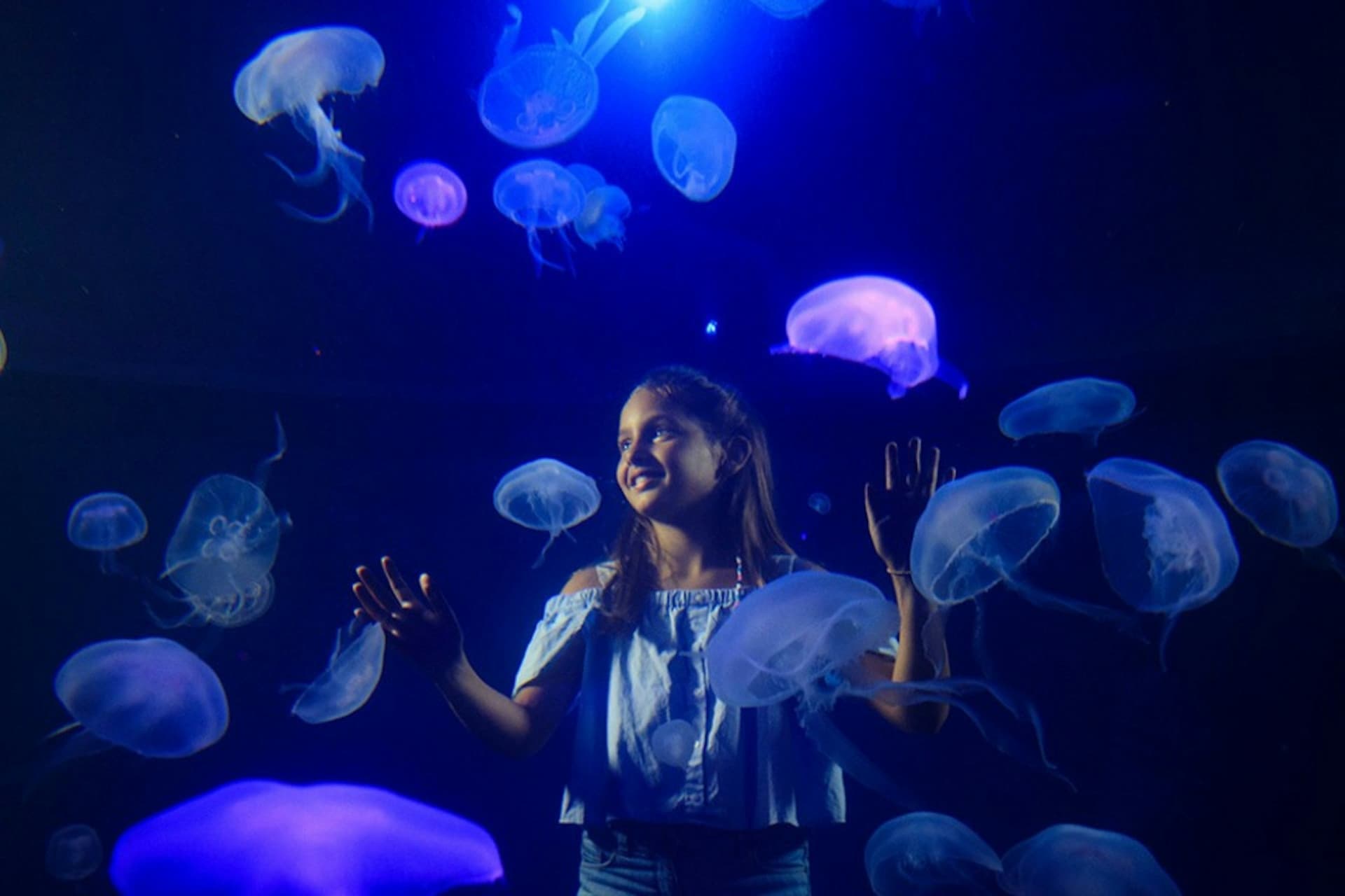 Palma Aquarium: Skip The Line Ticket + Optional 3D Cinema Aquadome - image 2