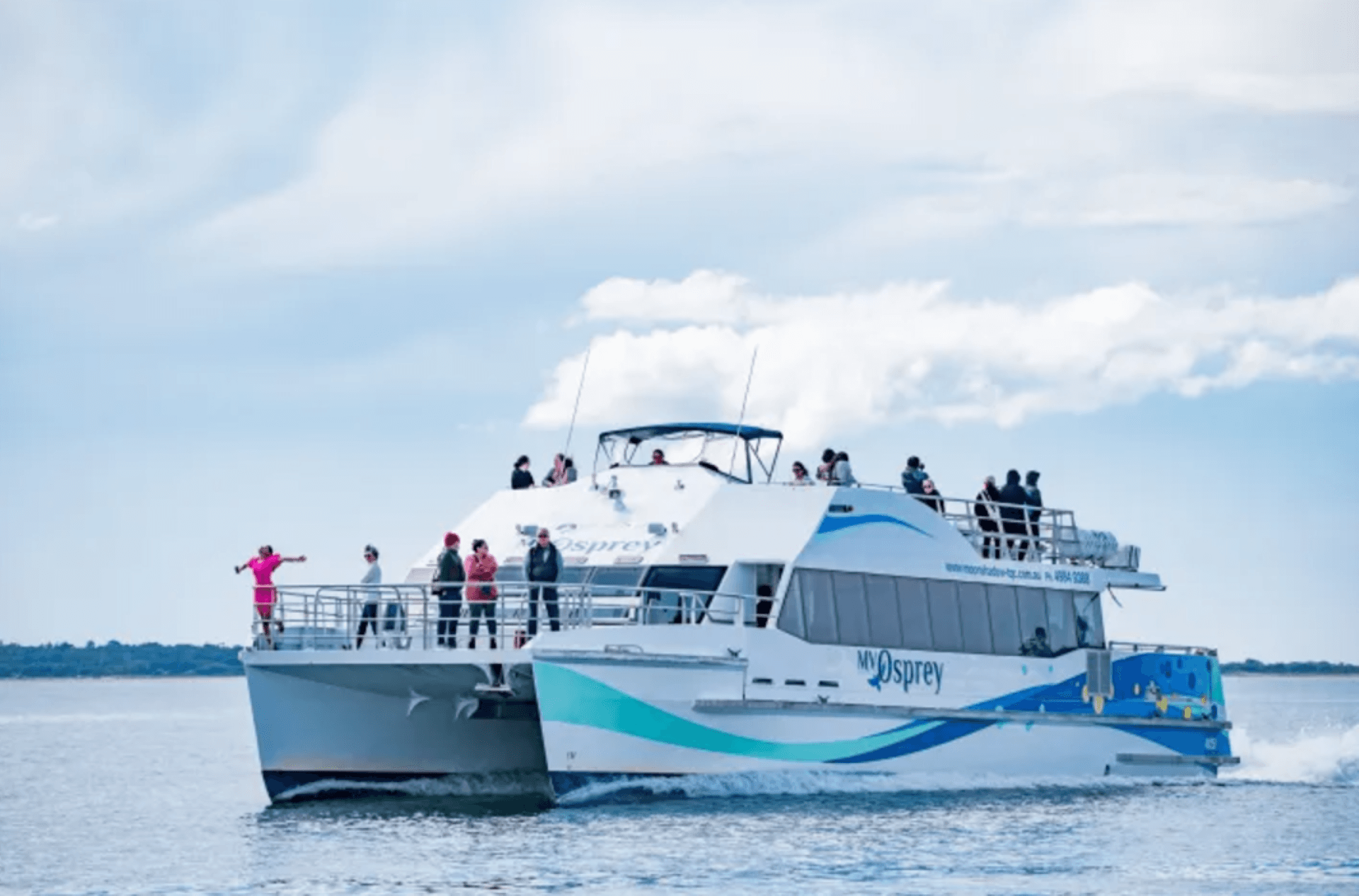 Port Stephens Dolphin Watch and Eco Adventure Cruise - main image
