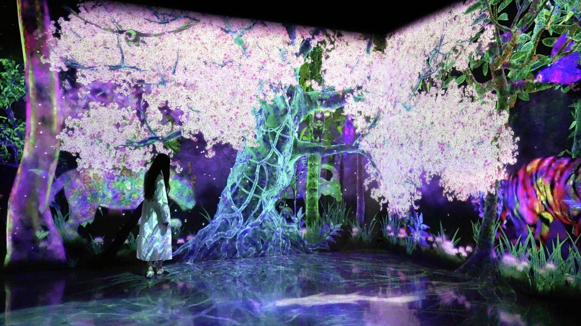teamLab Forest Fukuoka - main image