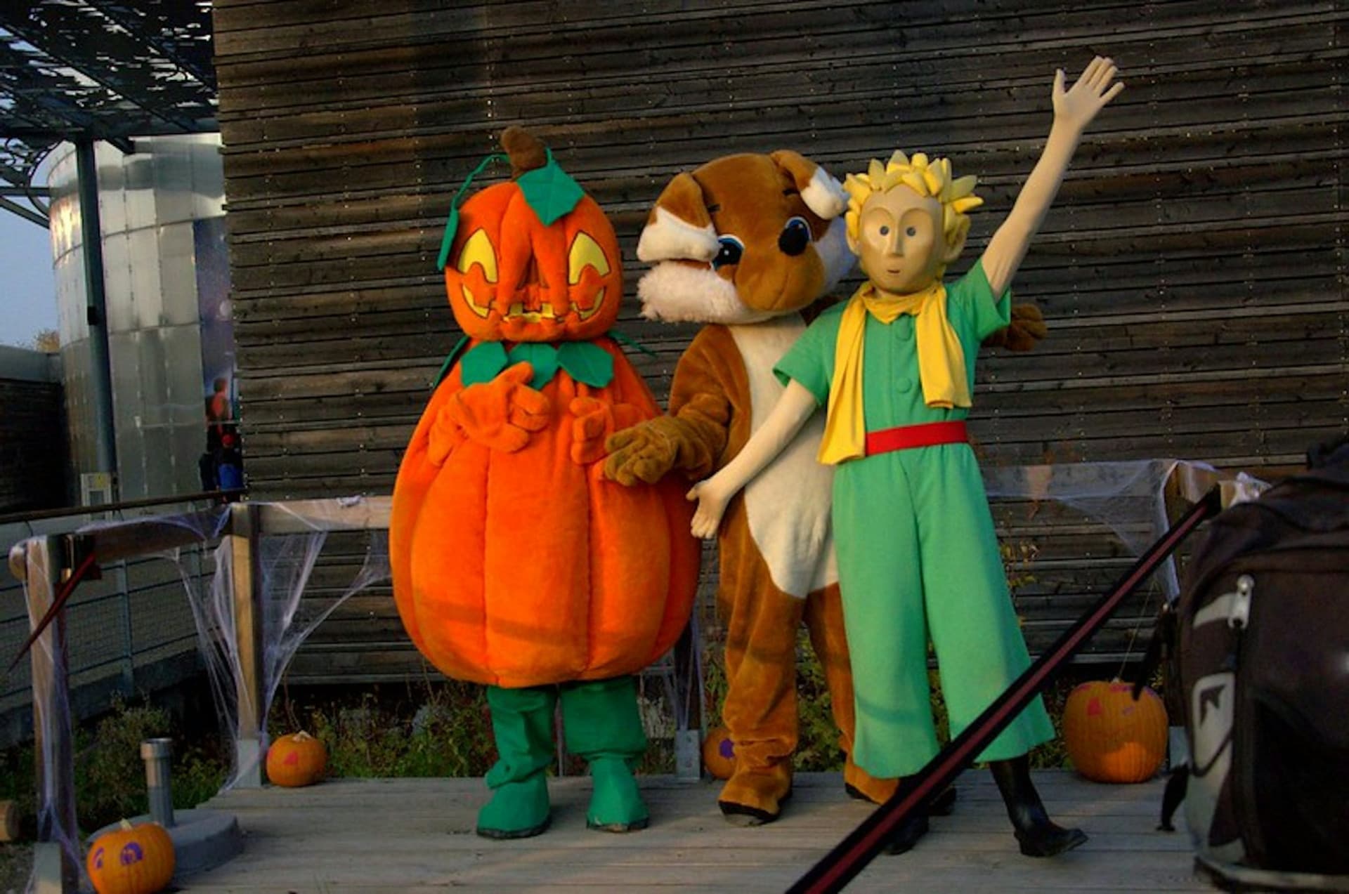 Le Parc du Petit Prince: Fast Track Ticket - image 6