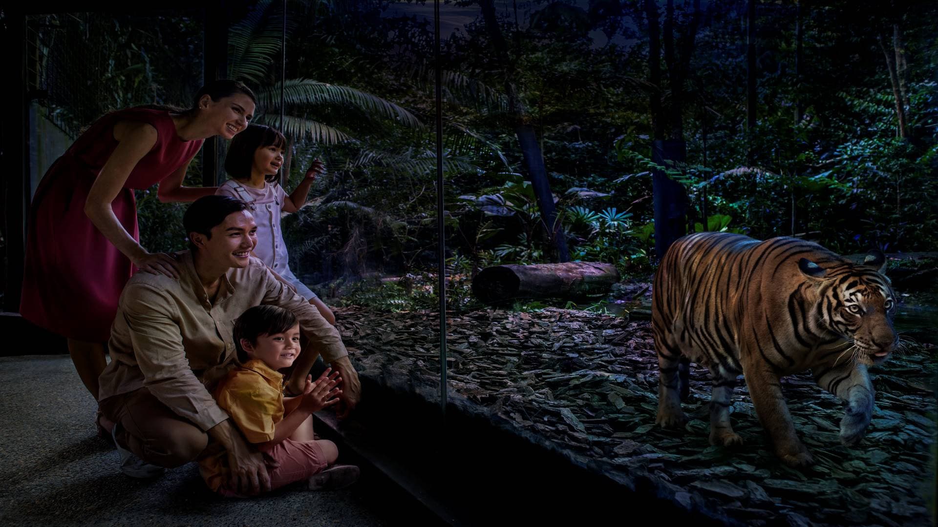 5-in-1 Day Pass: Night Safari + Singapore Zoo + Bird Paradise + River Wonders + Rainforest Adventure - image 17
