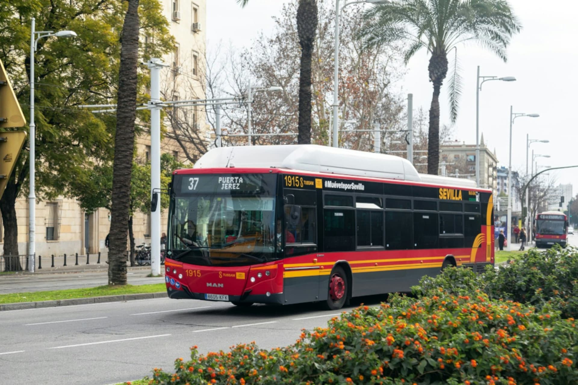 Seville: Airport Transfer Ticket to City Center - image 8