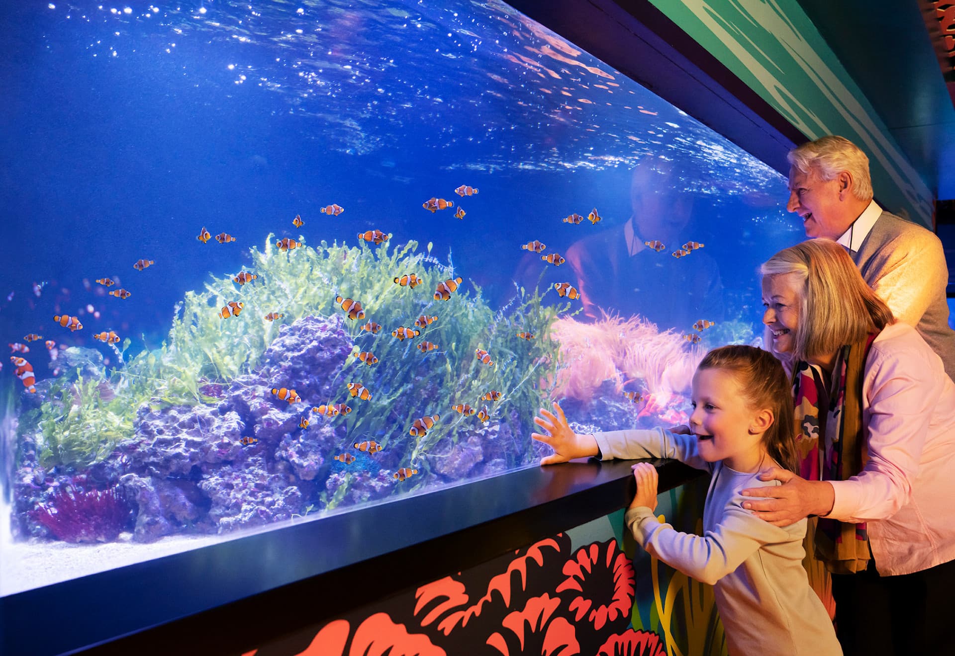 COMBO: SEA LIFE London Aquarium Ticket + London Hop-on Hop-off Bus Tour - imagen 4