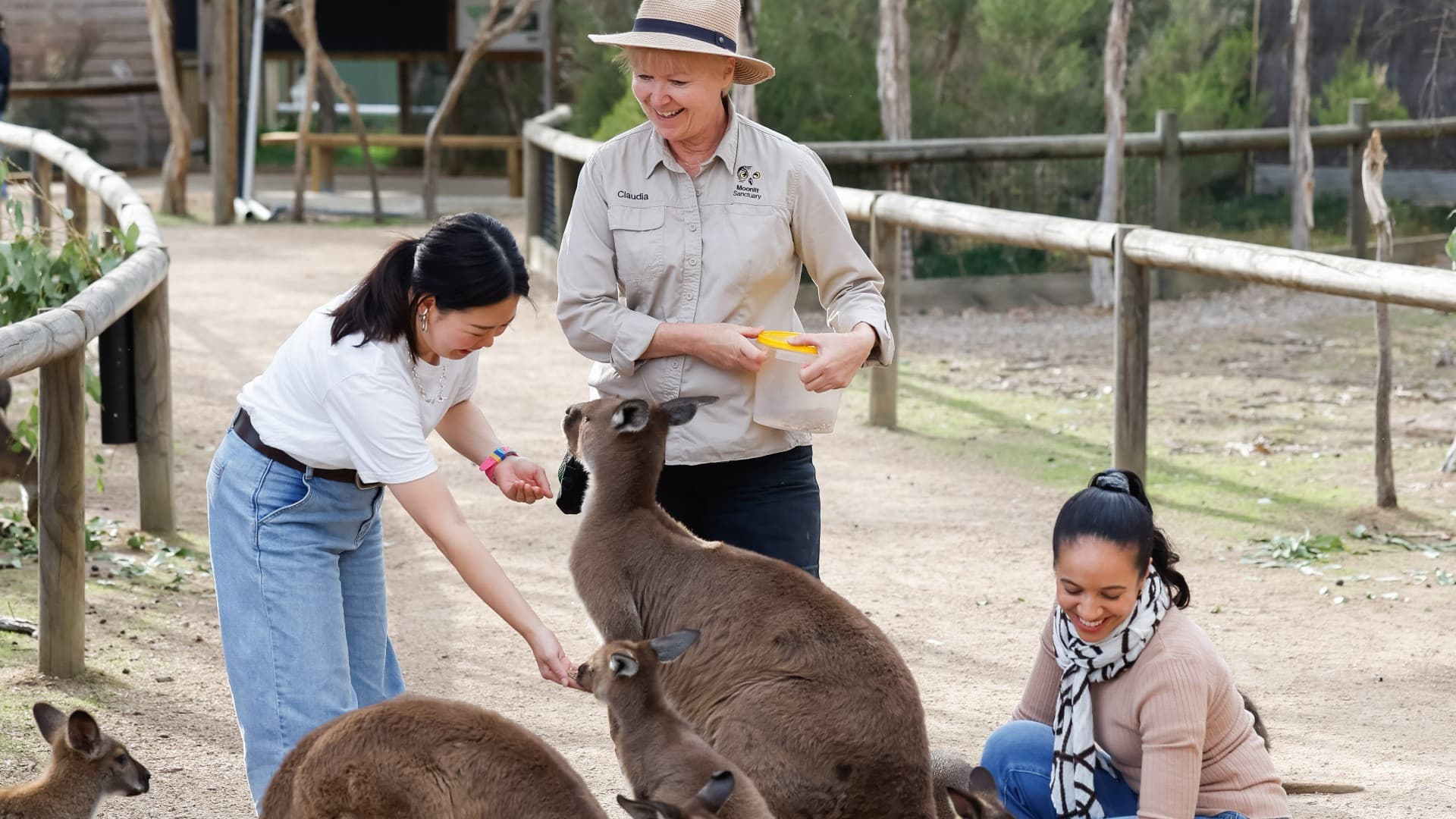 Moonlit Sanctuary Wildlife Conservation Park Ticket - image 4