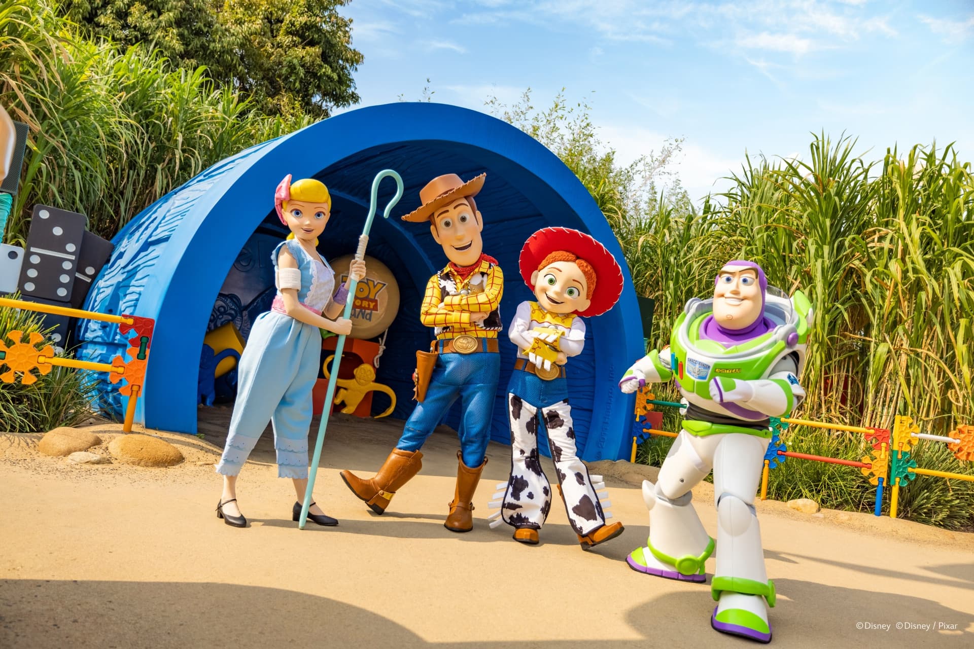 Hong Kong Disneyland Park Ticket - image 6