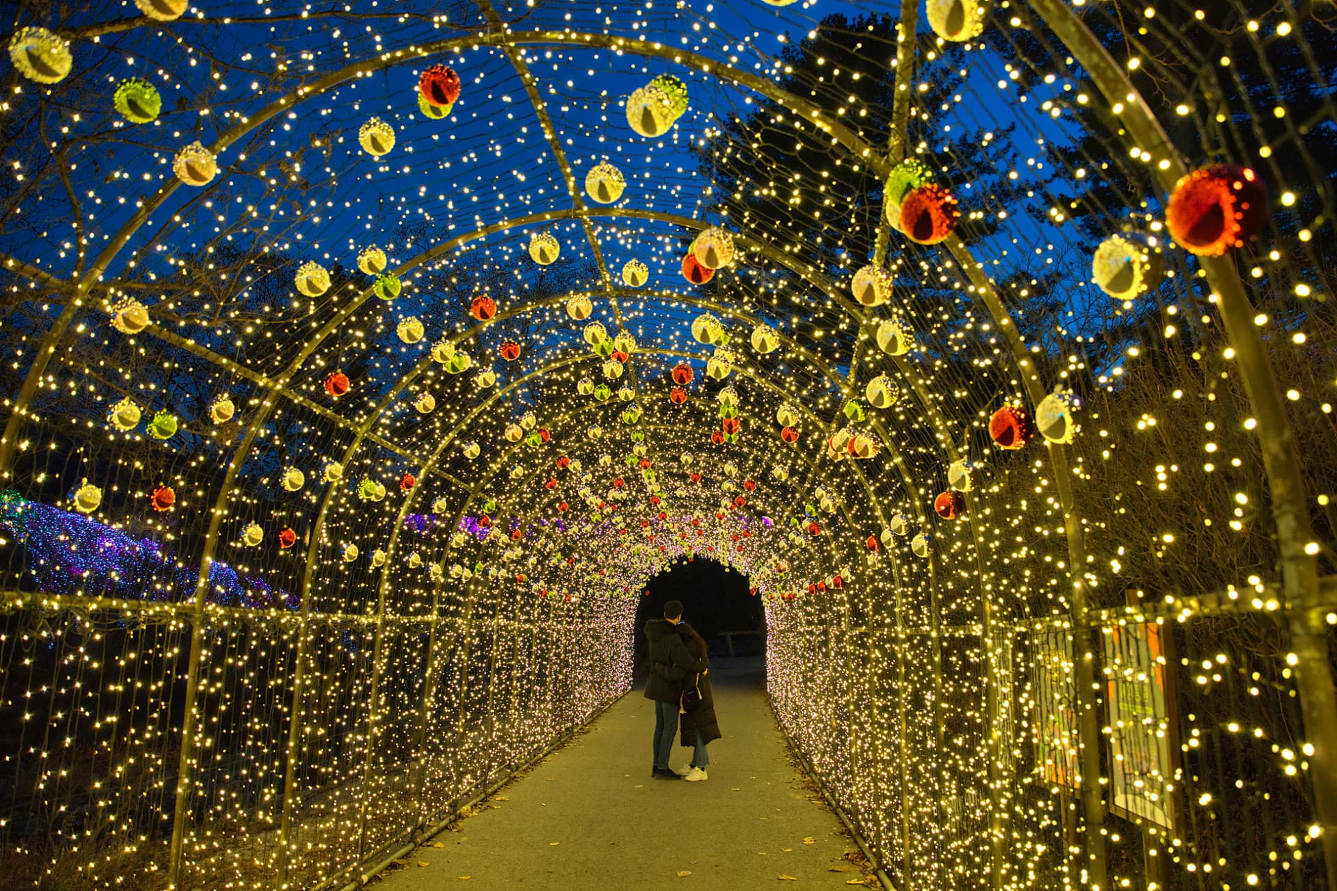 Nami Island, Mount Seorak, and Garden of Morning Calm Full-Day Tour from Seoul - image 10
