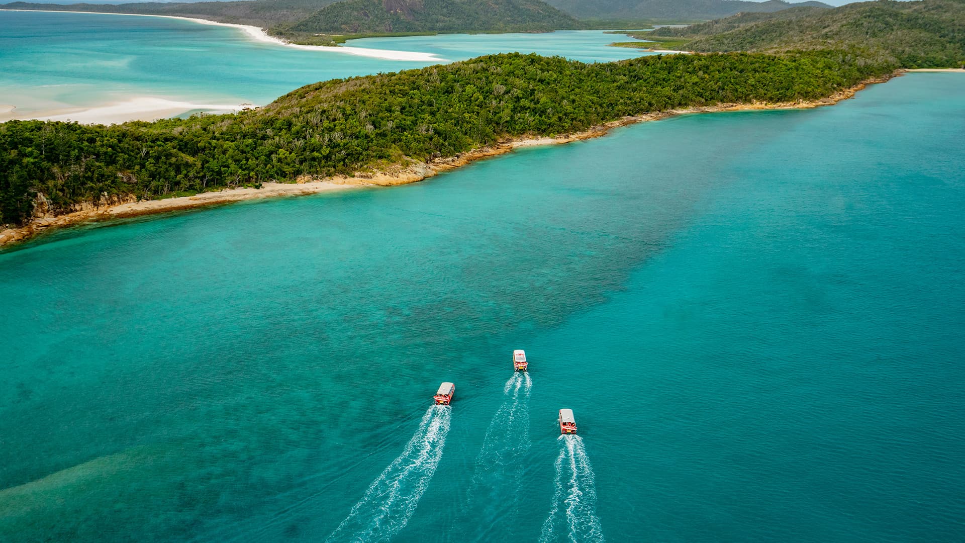 Thundercat Catamaran Whitsundays Islands Tour - image 5