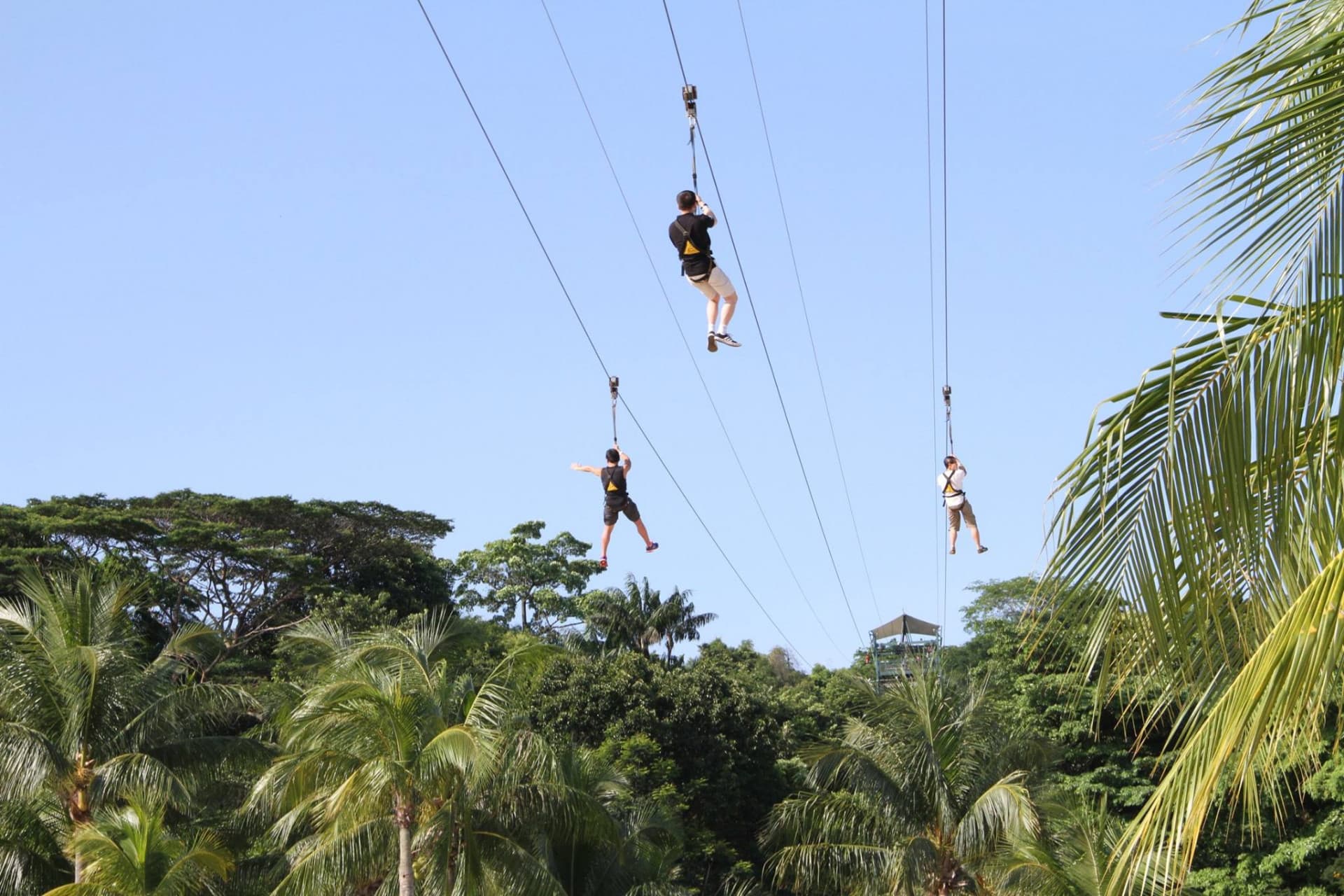 COMBO: Singapore Cable Car + MegaZip at Mega Adventure Park - image 6