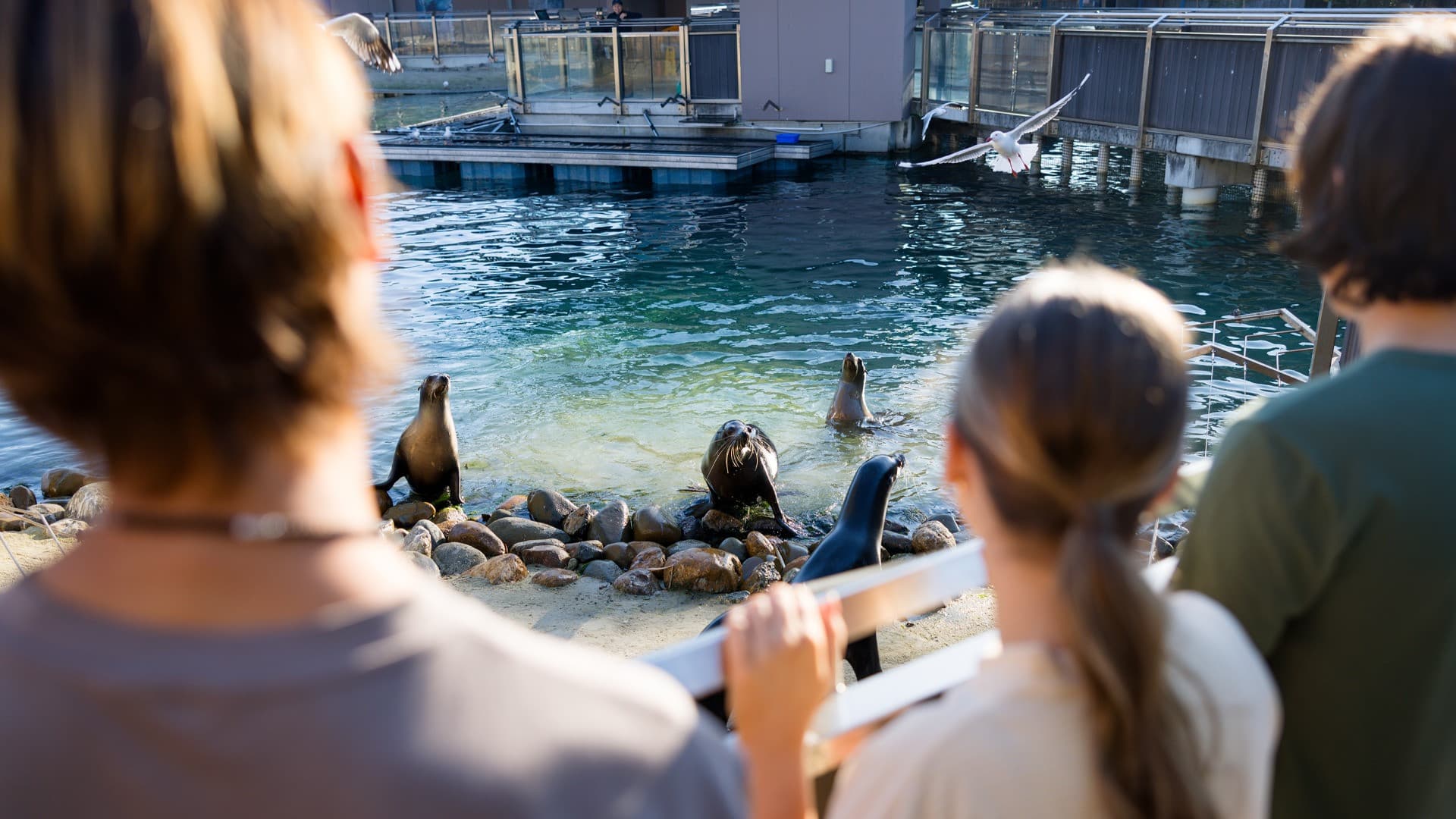 Gold Coast Warner Bros. Movie World, Sea World, Paradise Country and Wet'n'Wild Multiday Pass - image 17