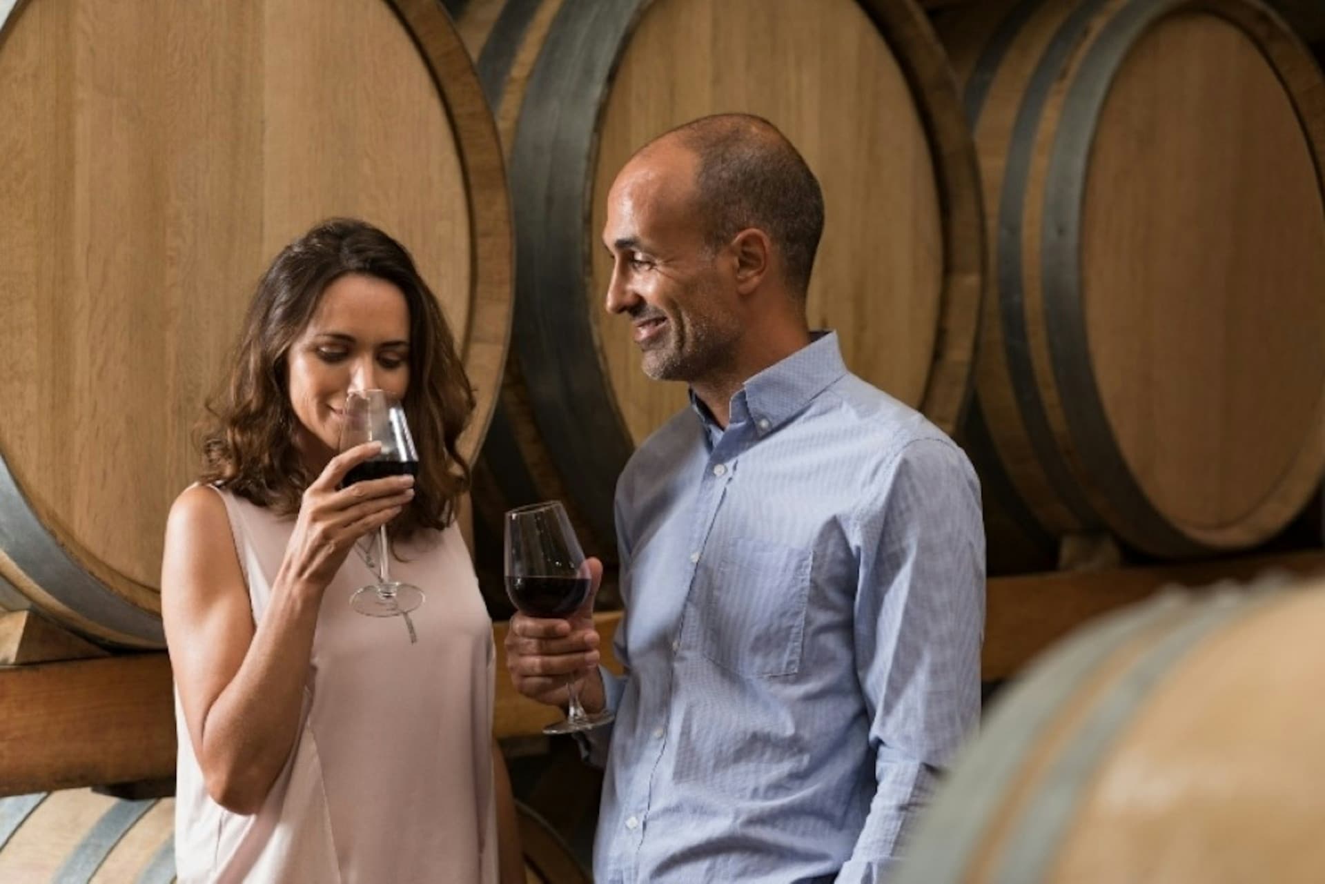 From San Francisco: Full Day Napa Valley Wine Tasting Tour - image 4