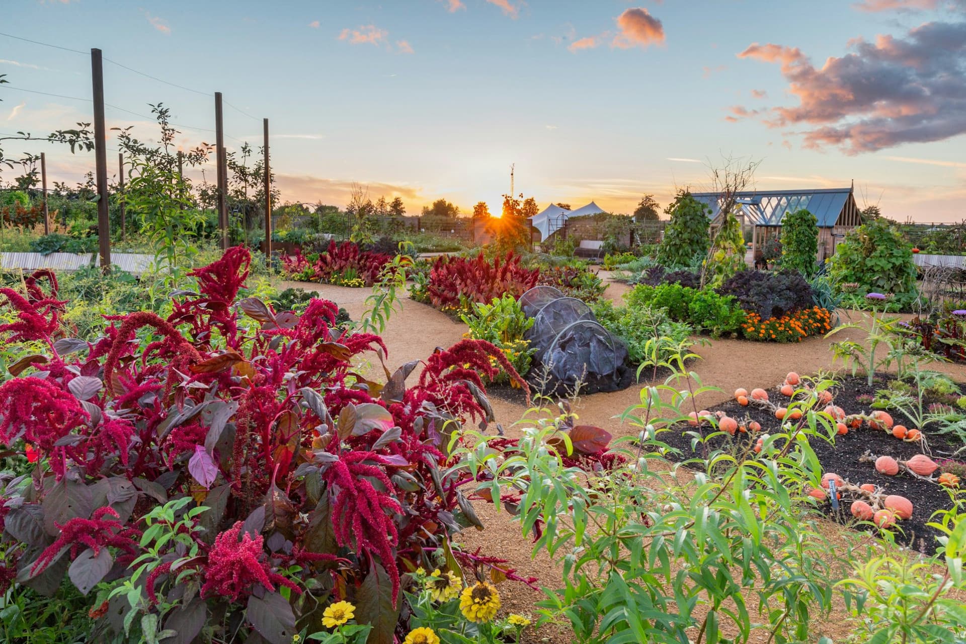 RHS Garden Wisley Ticket - image 4