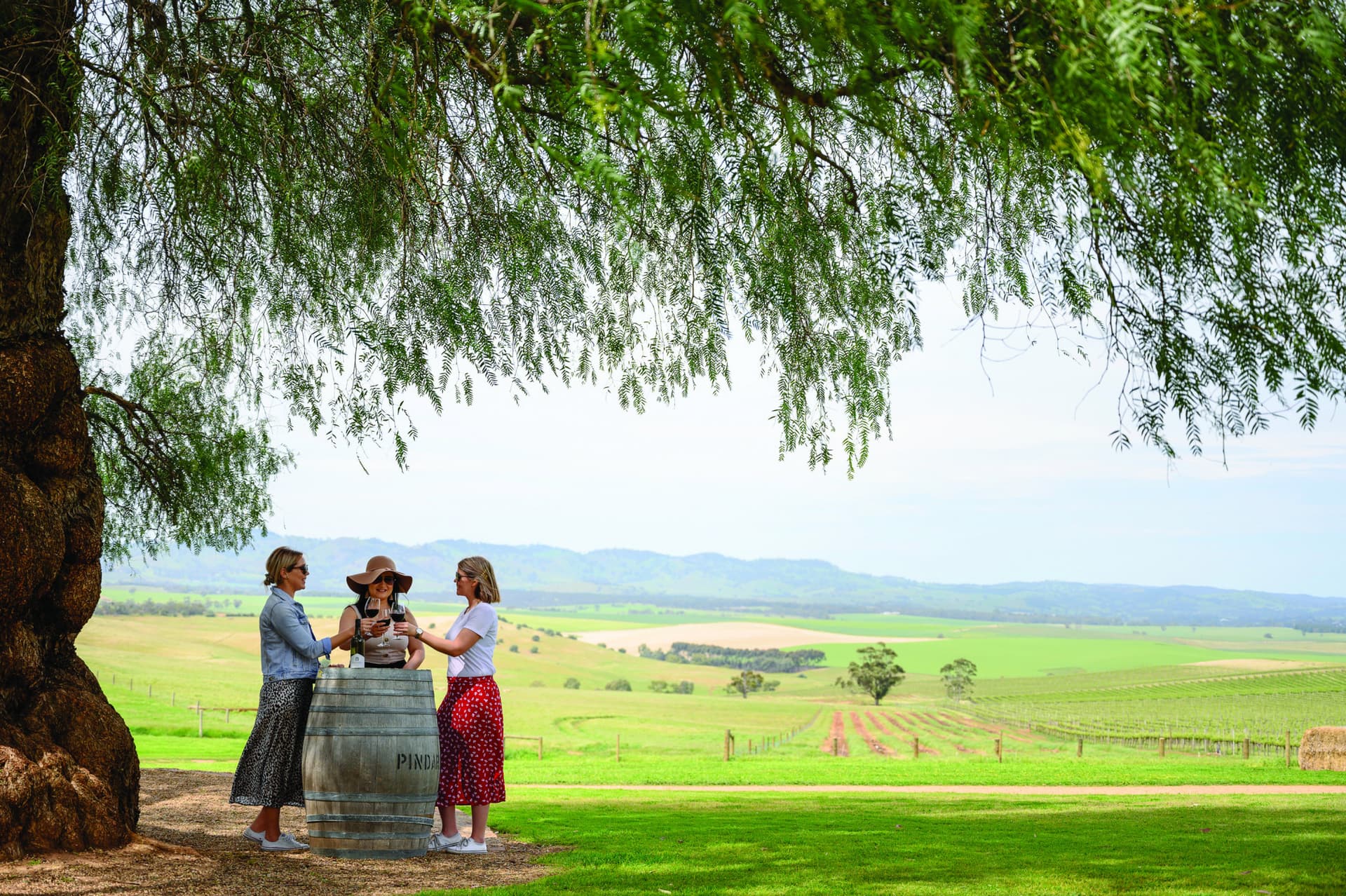 Barossa Valley Wineries and Hahndorf Tour - imagen principal