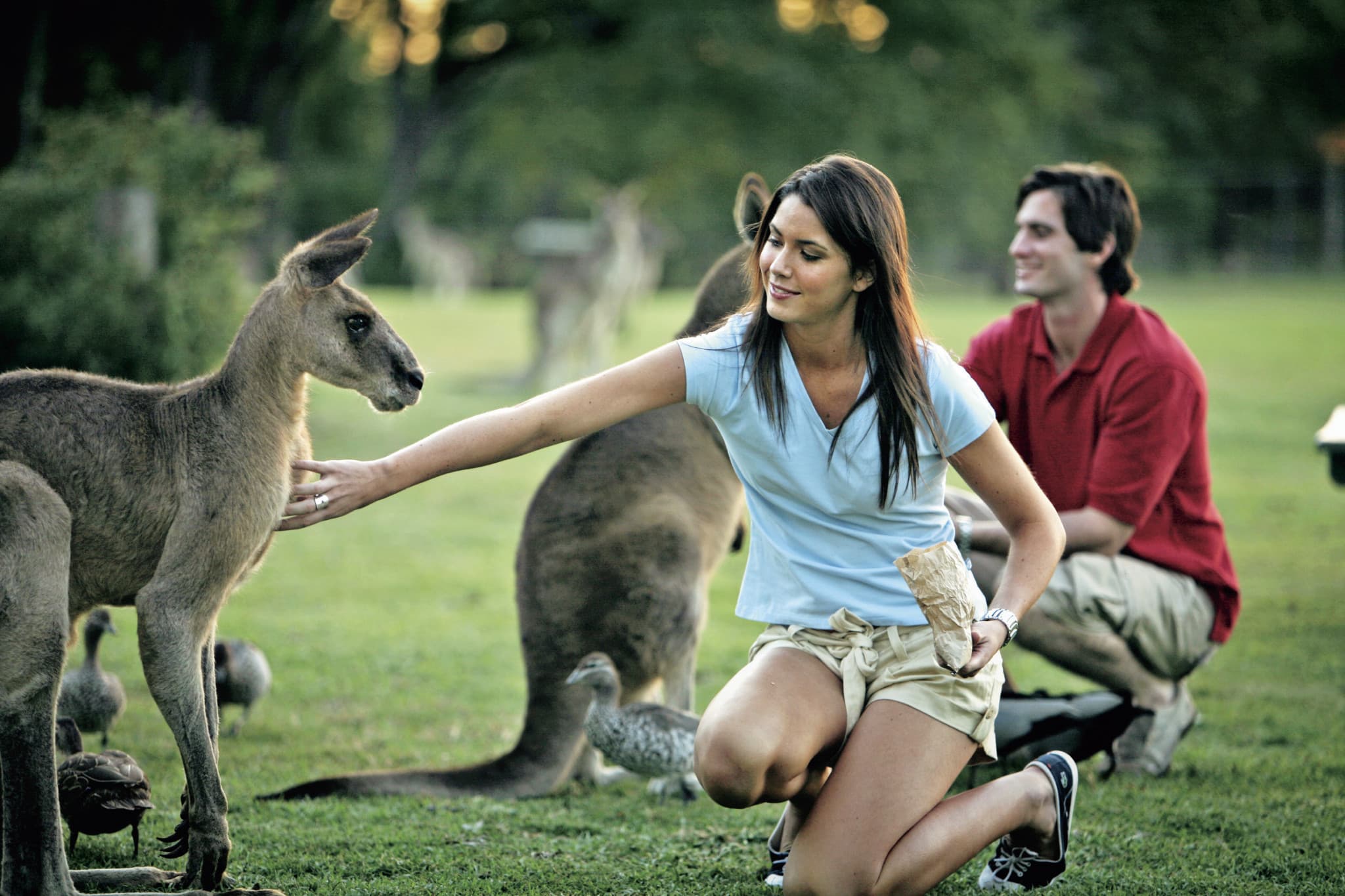 Currumbin Wildlife Sanctuary Gold Coast Ticket - image 5